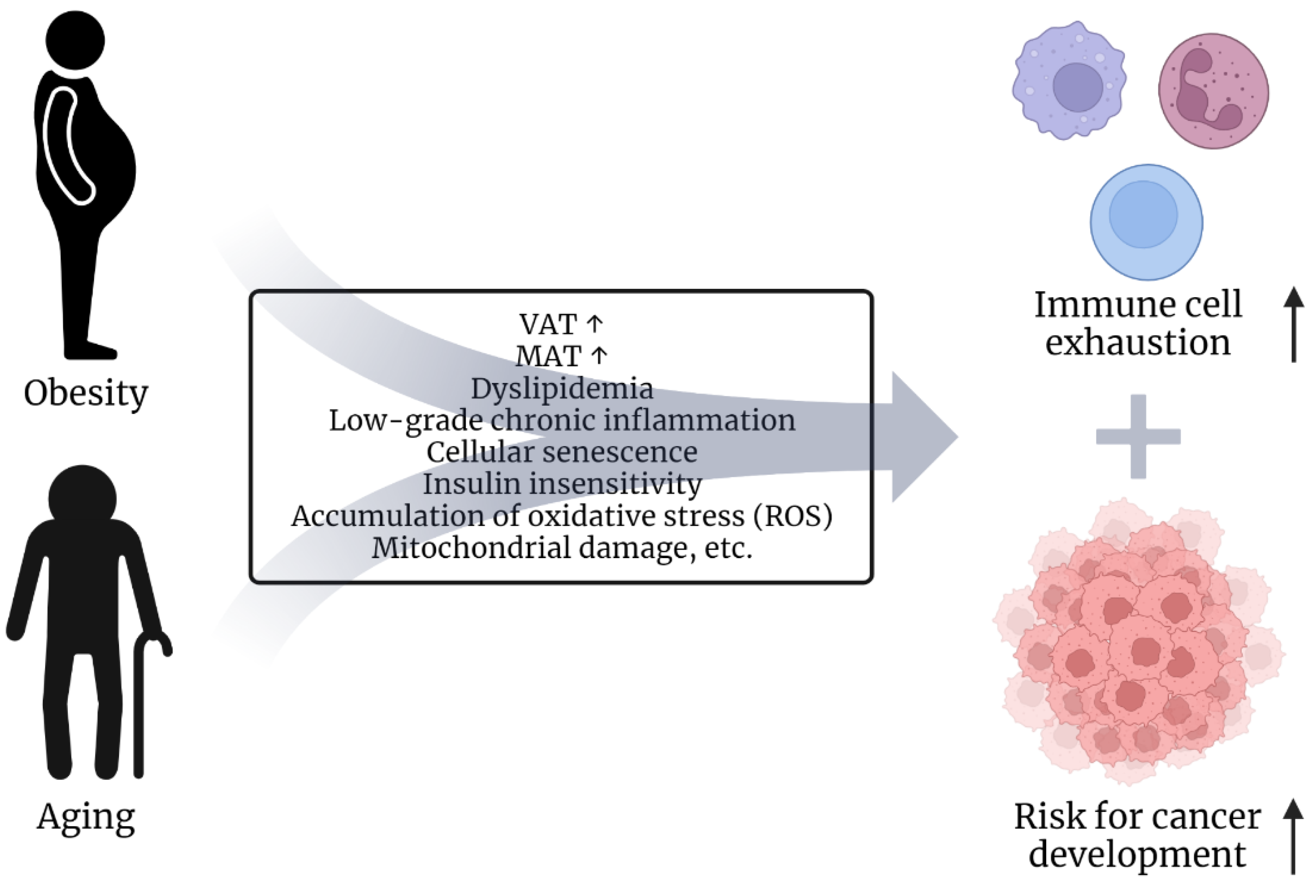 Biomolecules 12 01182 g002