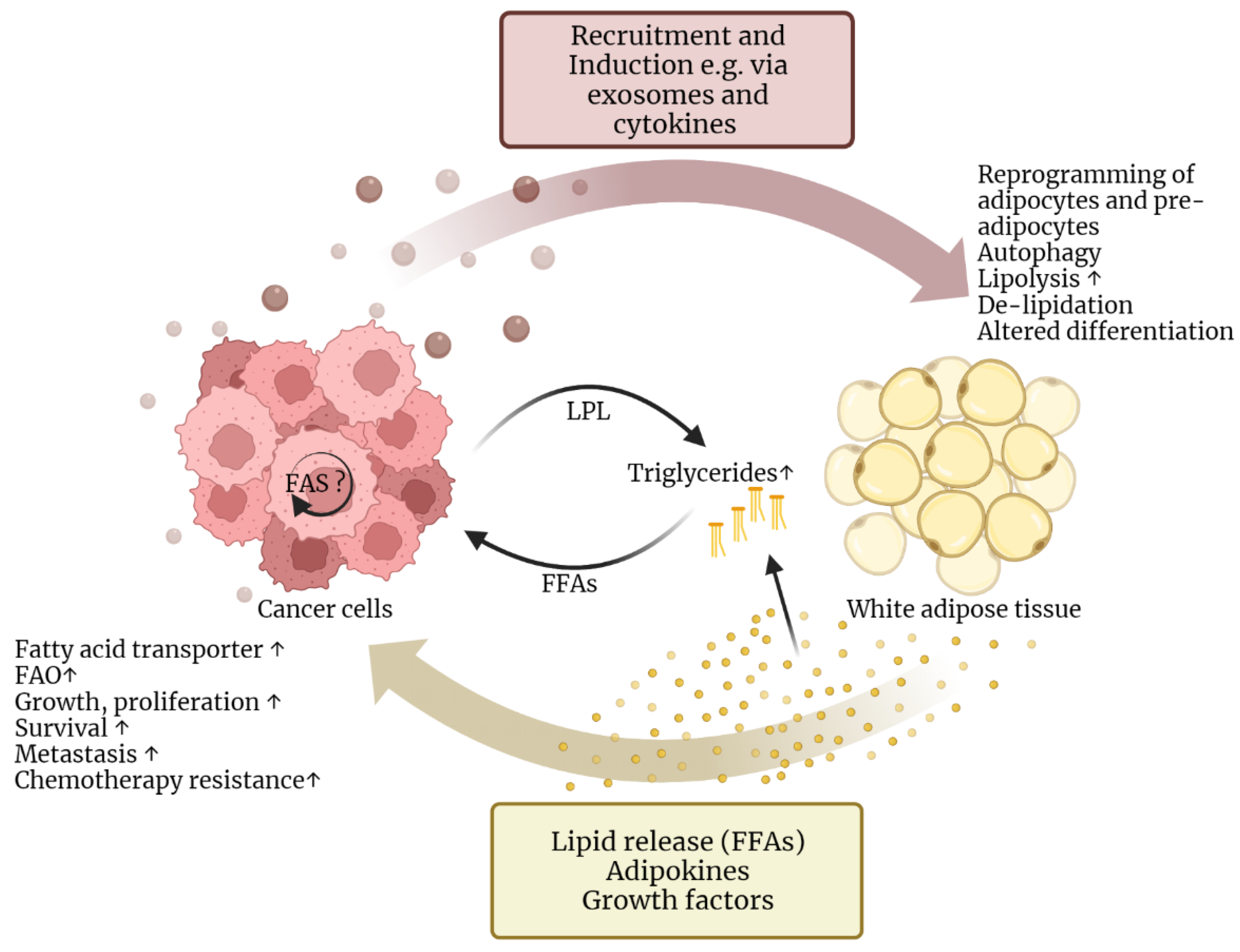 Biomolecules 12 01182 g003