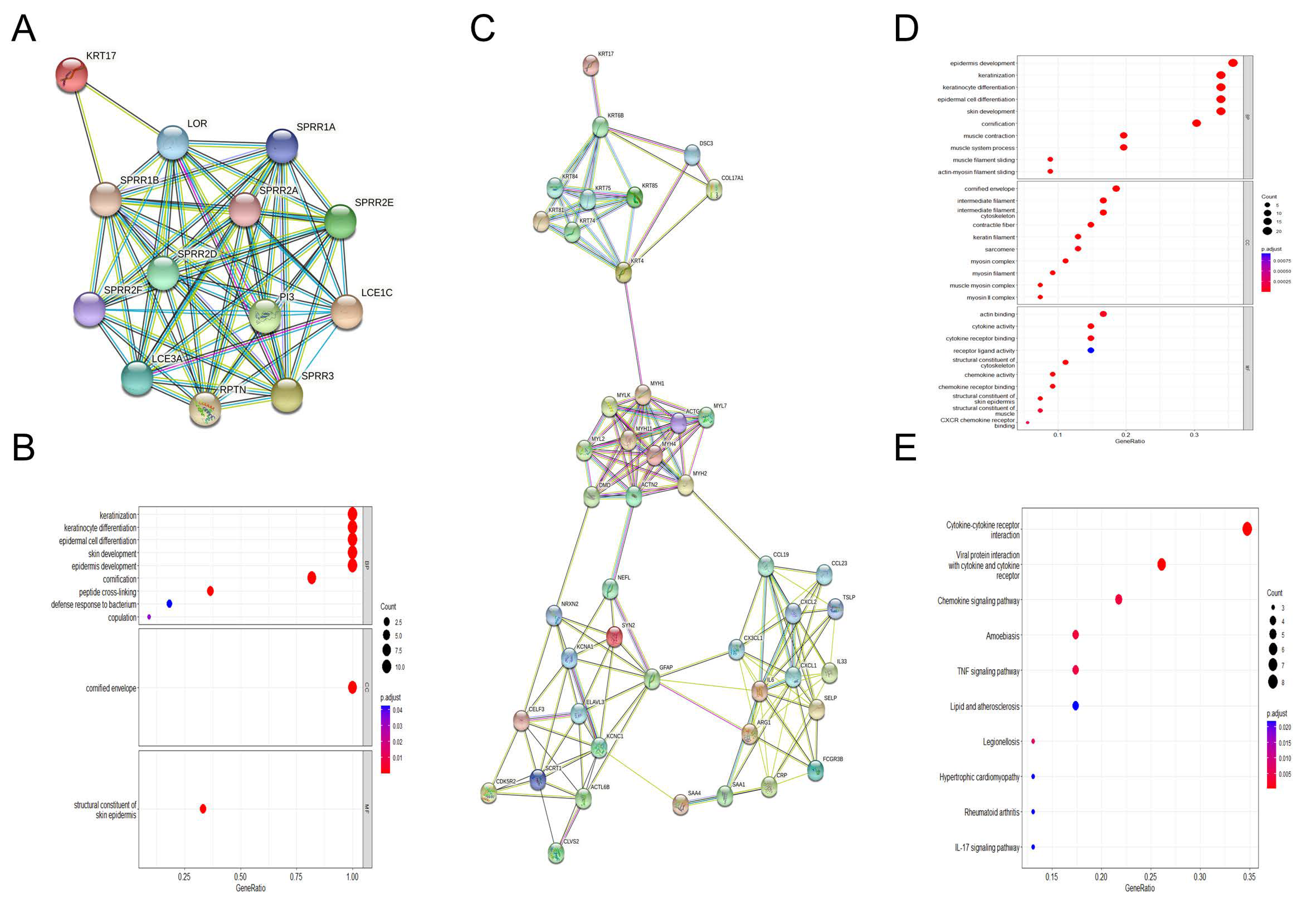 Biomolecules 12 01183 g006 550