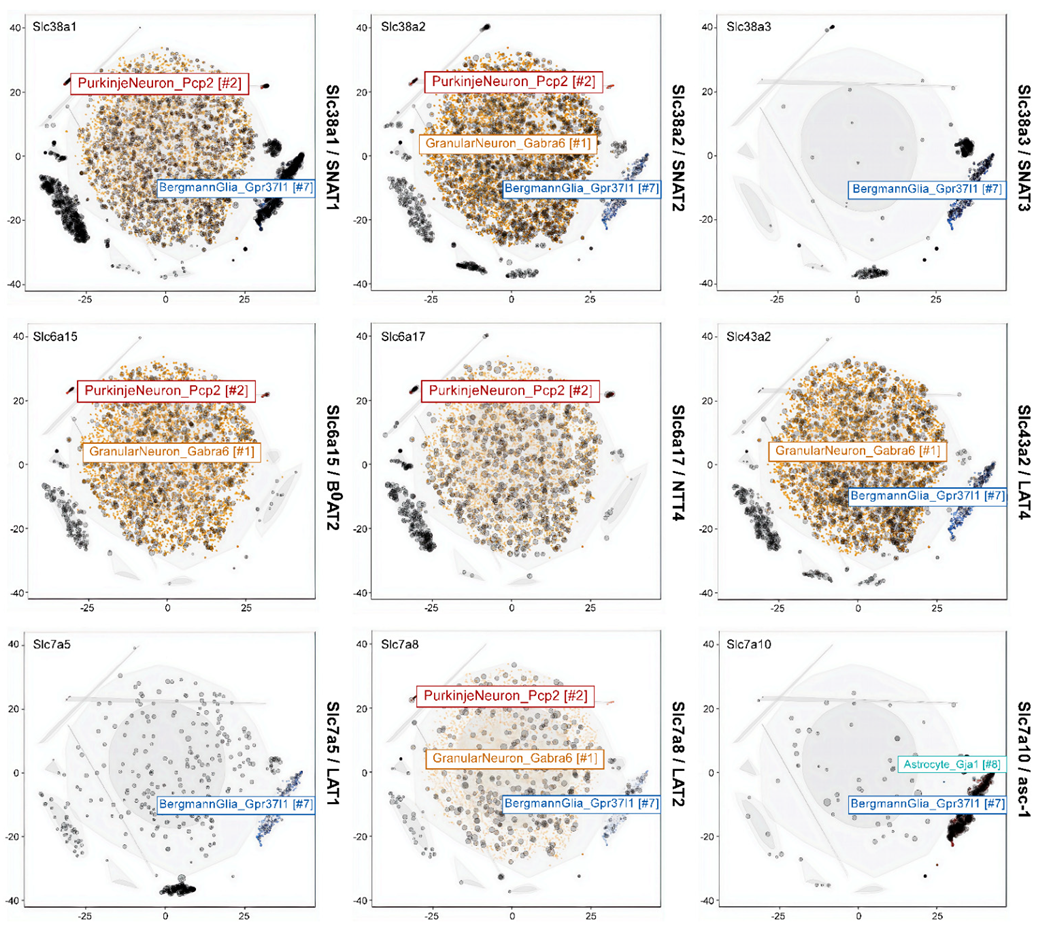 Biomolecules 12 01189 g007 Biomolecules 12 01189 g007