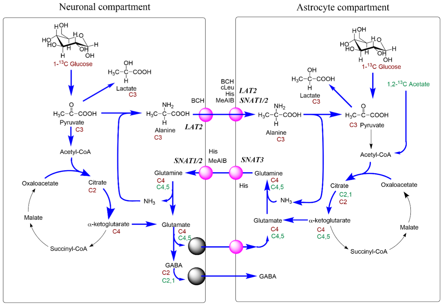 Biomolecules 12 01189 g009 Biomolecules 12 01189 g009