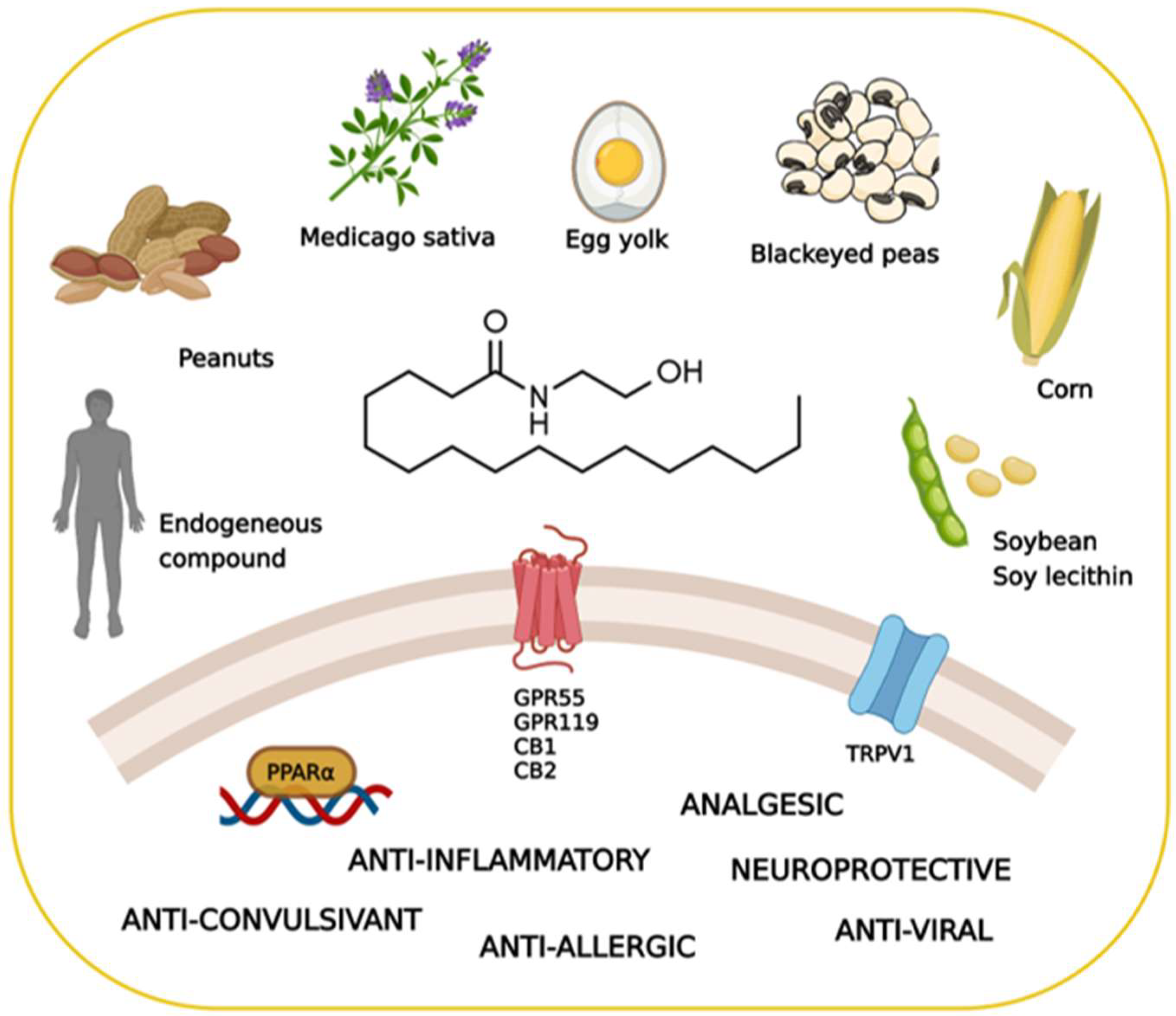 Biomolecules 12 01191 g001