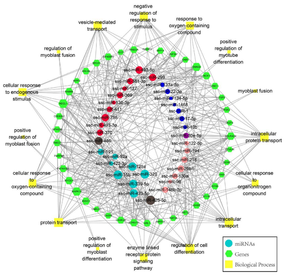 Biomolecules 12 01193 g004 Biomolecules 12 01193 g004