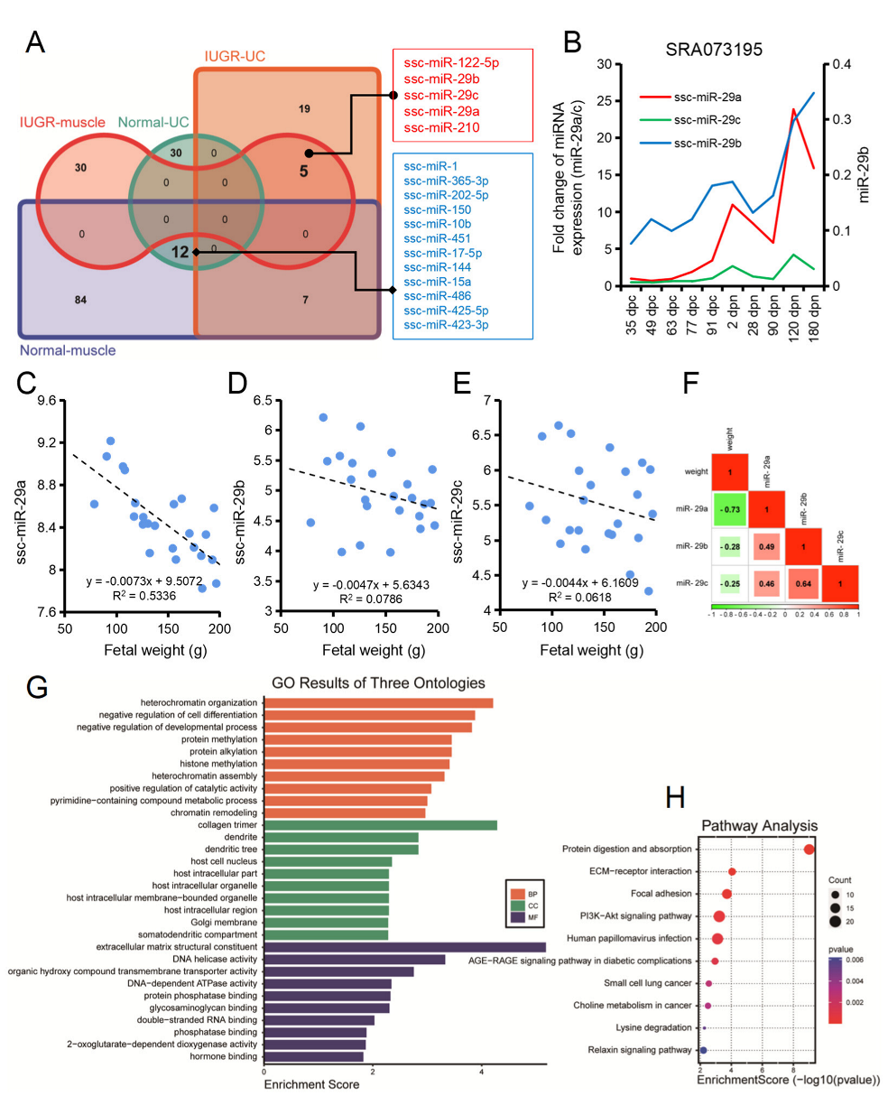 Biomolecules 12 01193 g005 Biomolecules 12 01193 g005