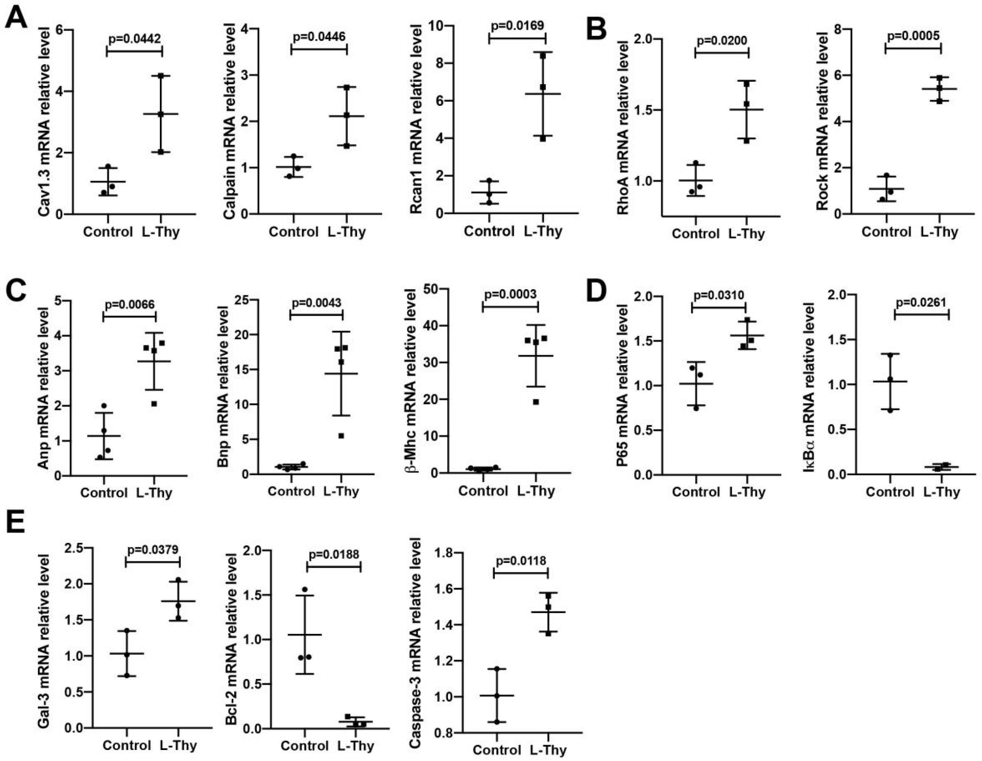 Biomolecules 12 01195 g008