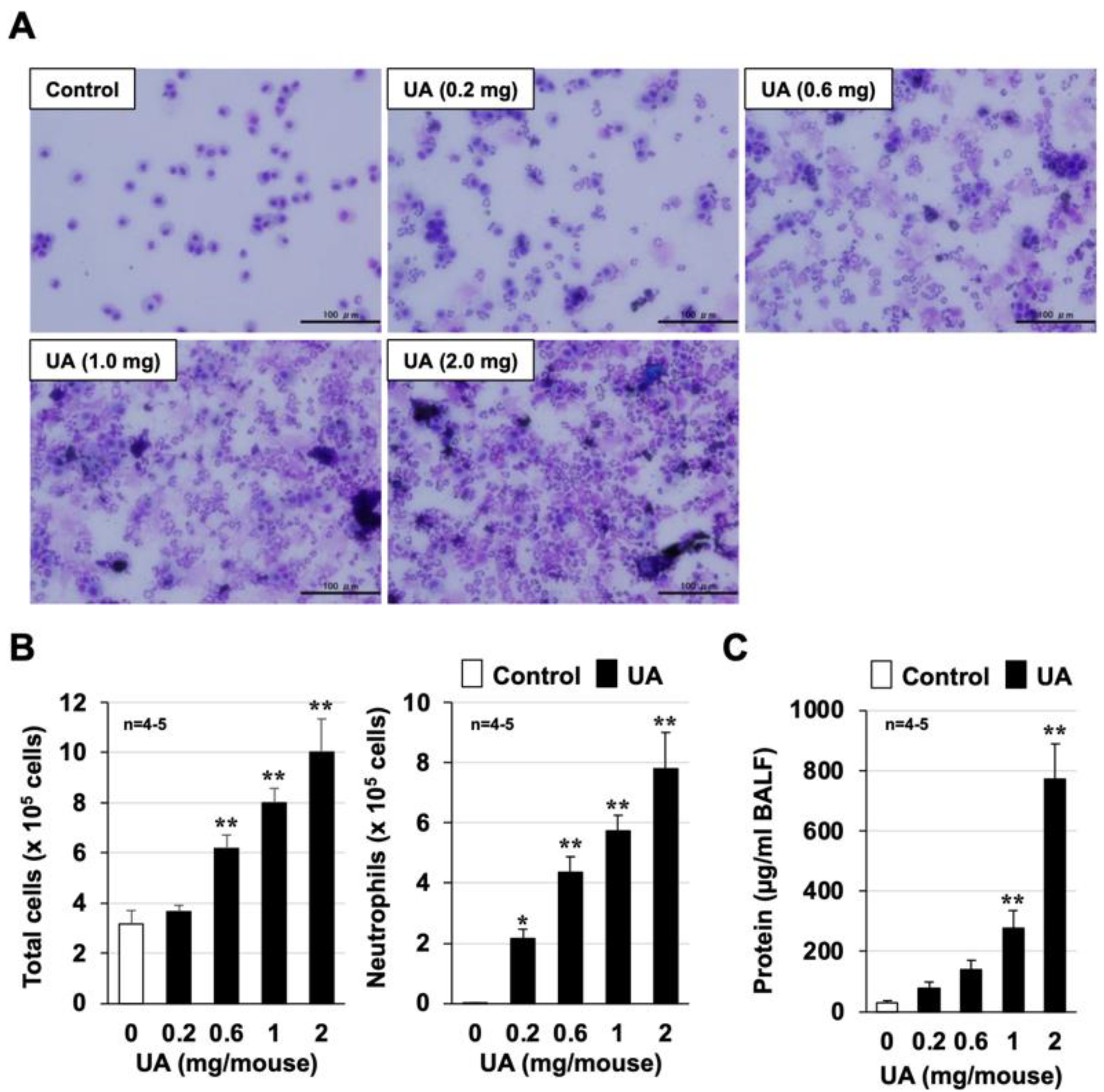 Biomolecules 12 01196 g001 Biomolecules 12 01196 g001