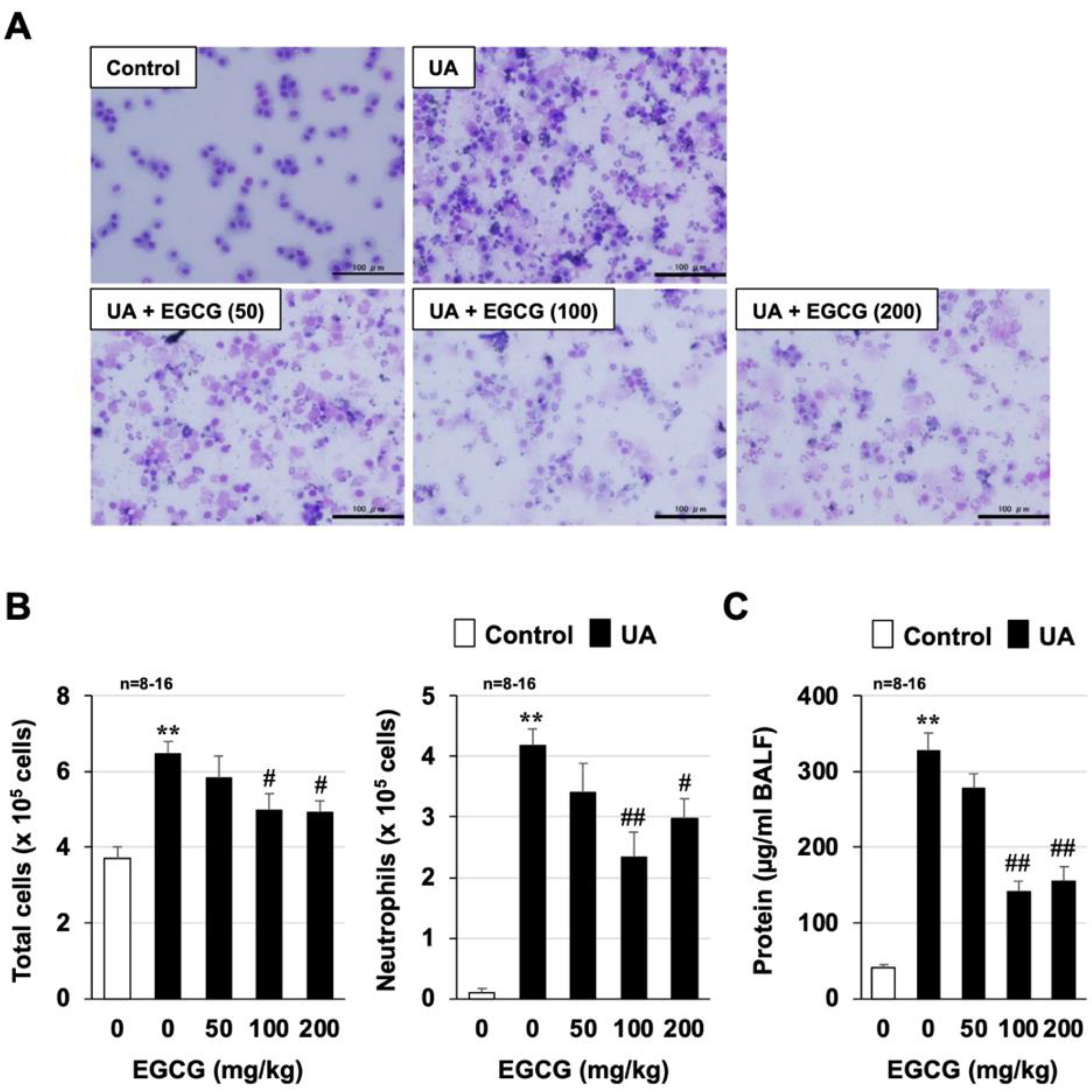 Biomolecules 12 01196 g002 Biomolecules 12 01196 g002