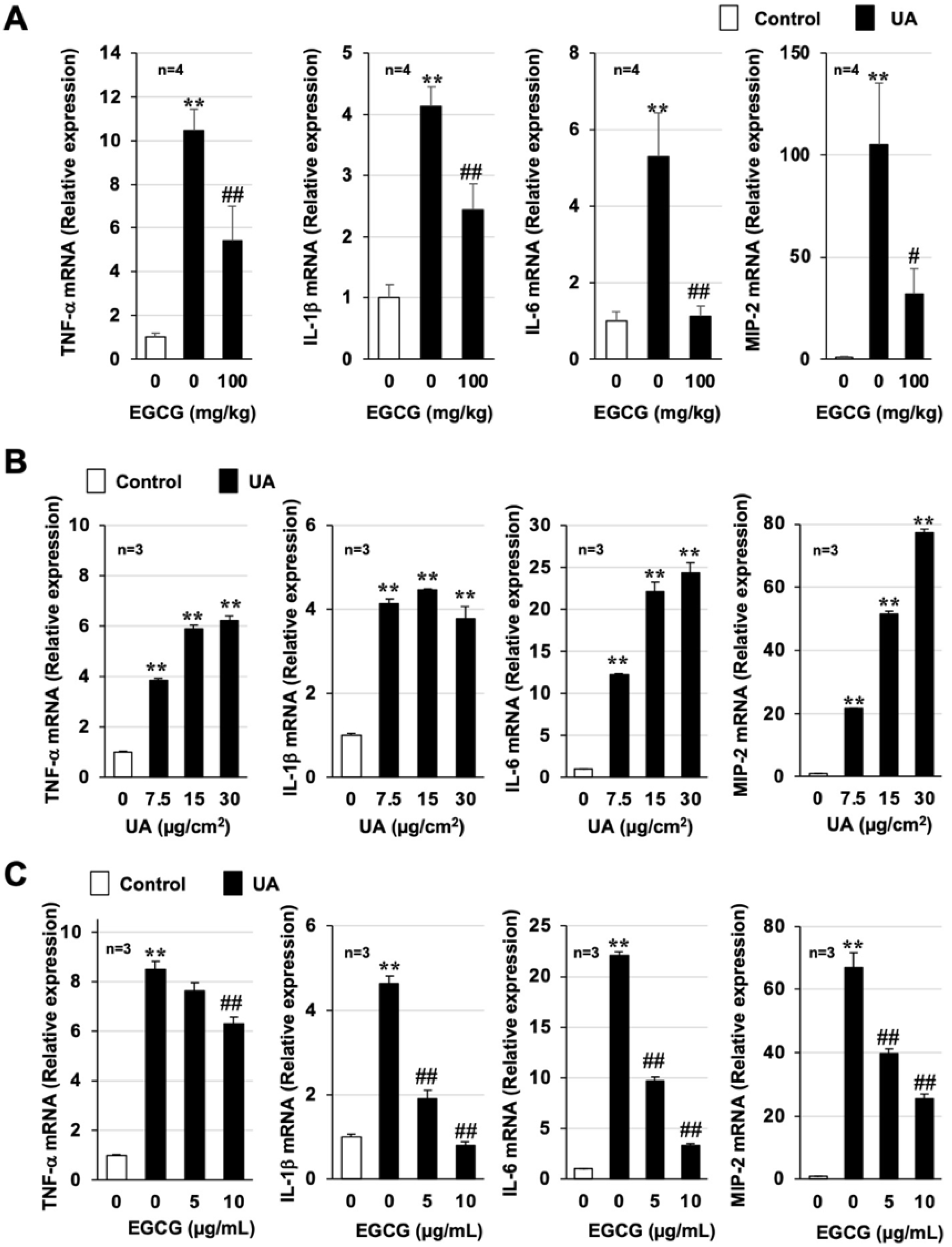 Biomolecules 12 01196 g003 Biomolecules 12 01196 g003