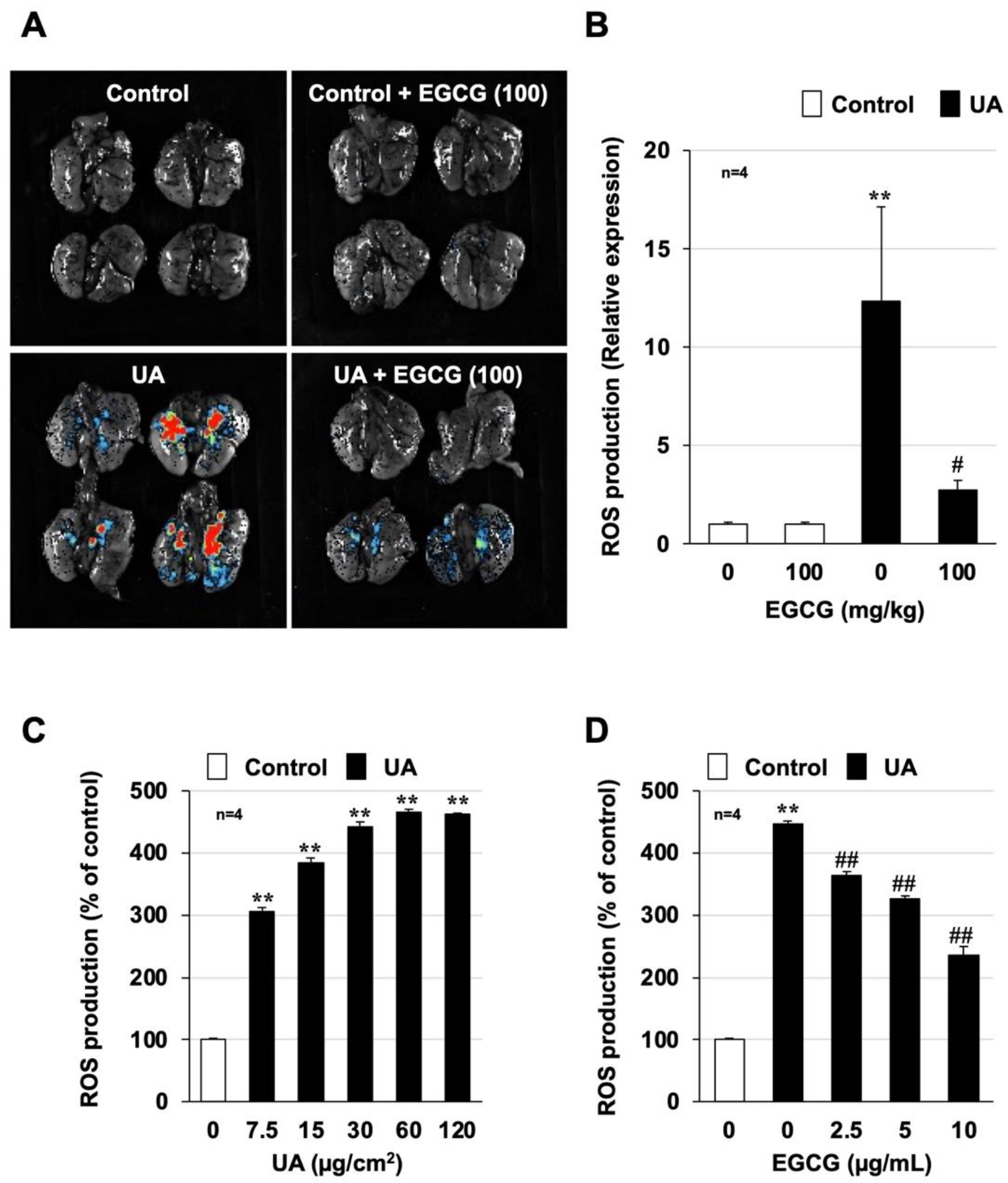 Biomolecules 12 01196 g004 Biomolecules 12 01196 g004