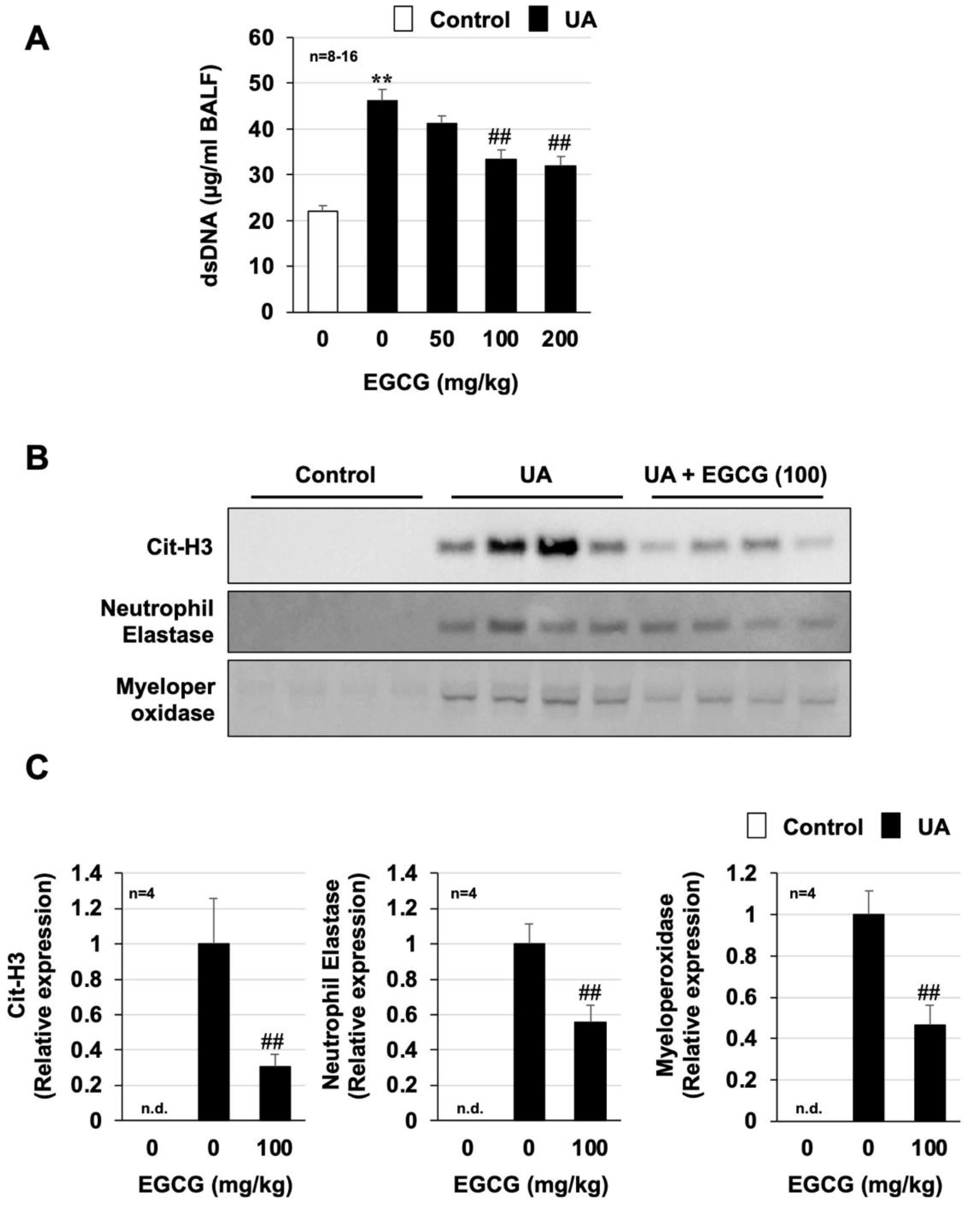 Biomolecules 12 01196 g005 Biomolecules 12 01196 g005