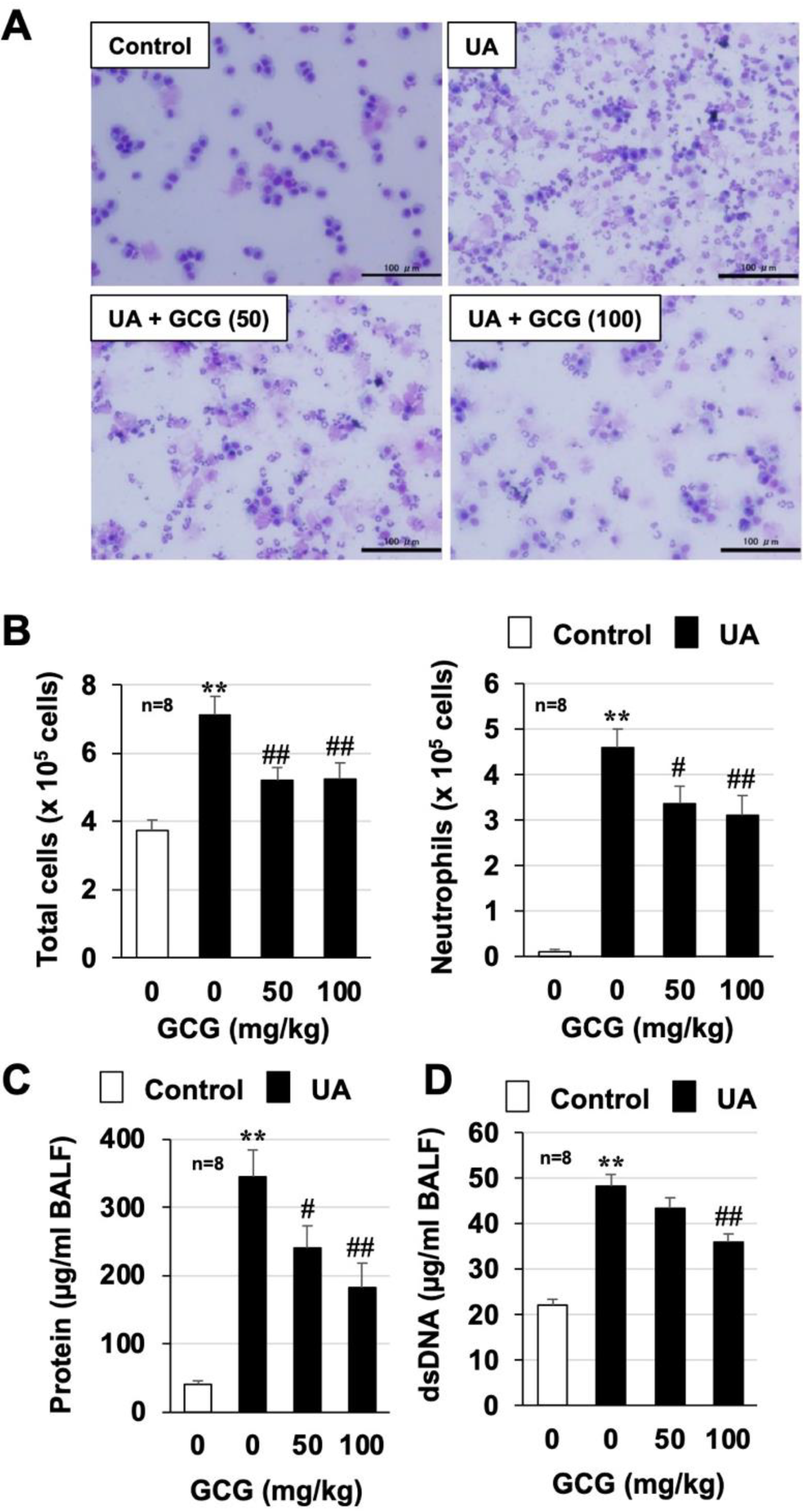 Biomolecules 12 01196 g006 Biomolecules 12 01196 g006