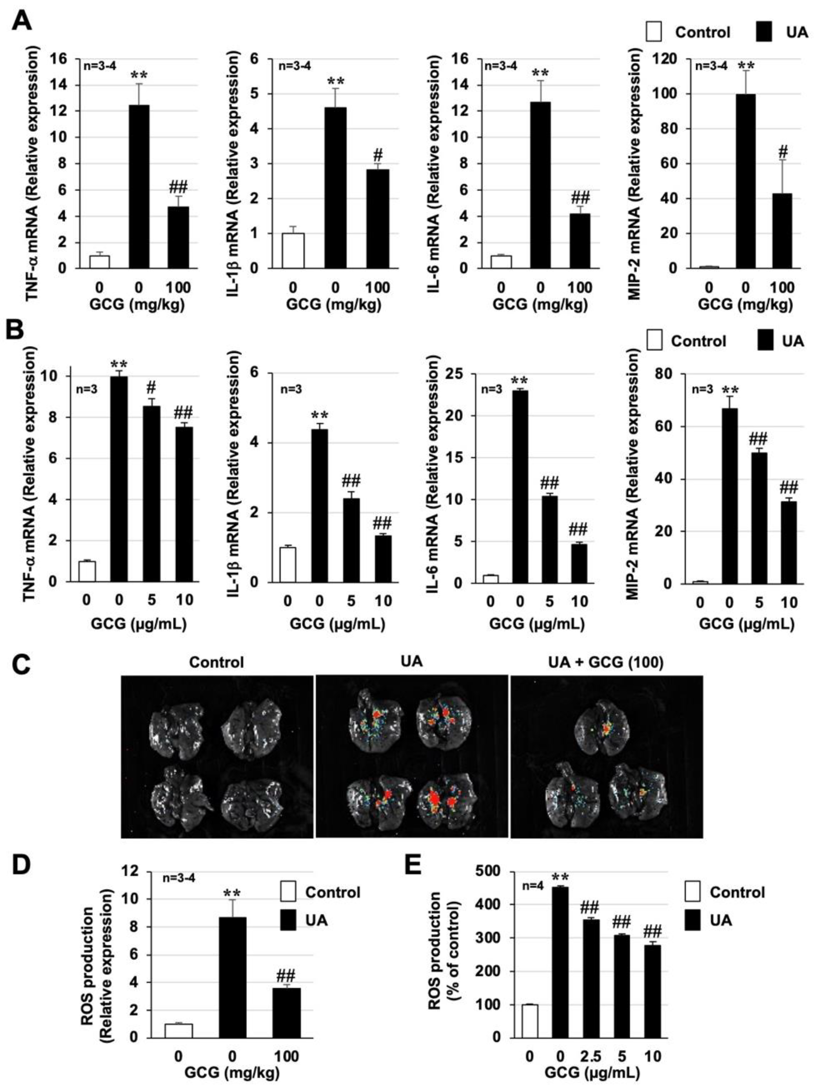 Biomolecules 12 01196 g007 Biomolecules 12 01196 g007