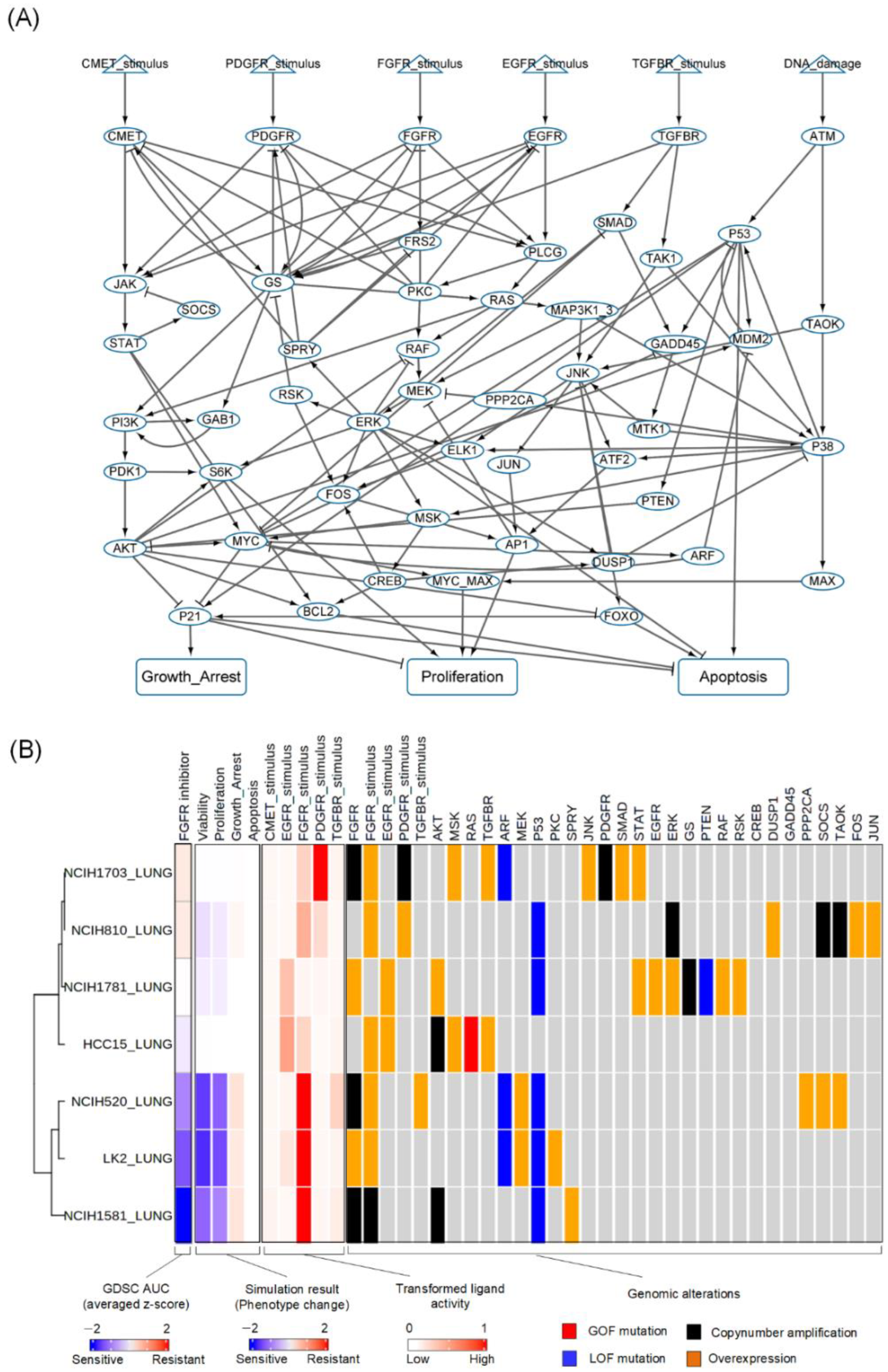 Biomolecules 12 01197 g002 Biomolecules 12 01197 g002