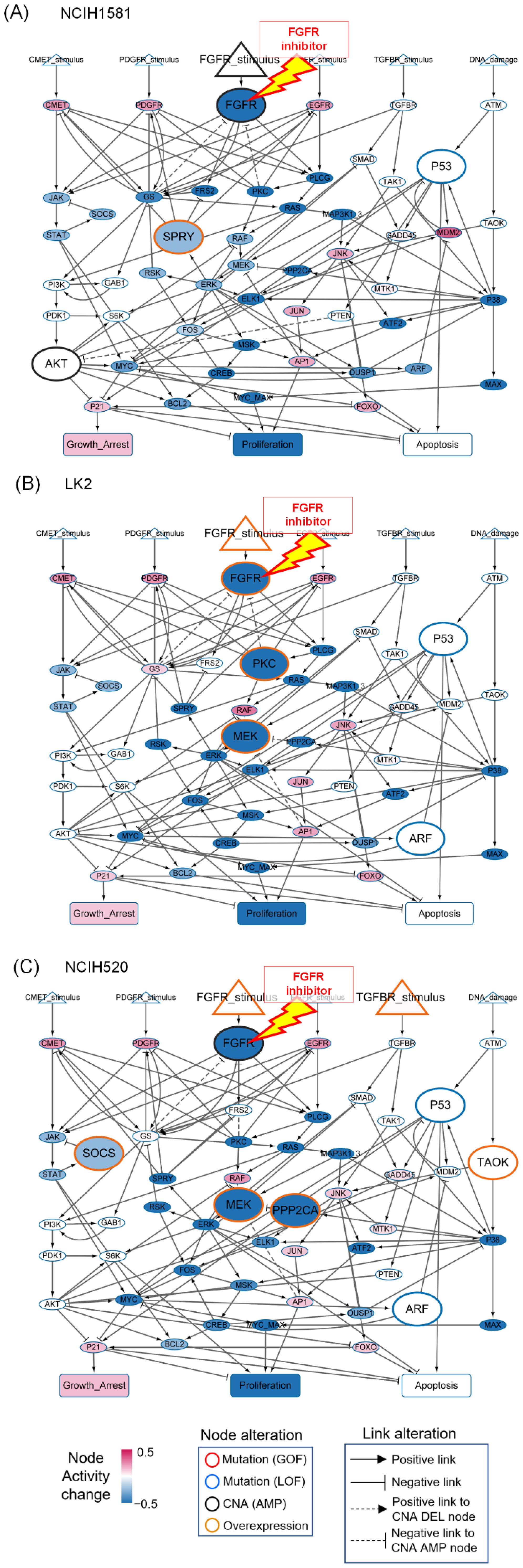 Biomolecules 12 01197 g003 Biomolecules 12 01197 g003