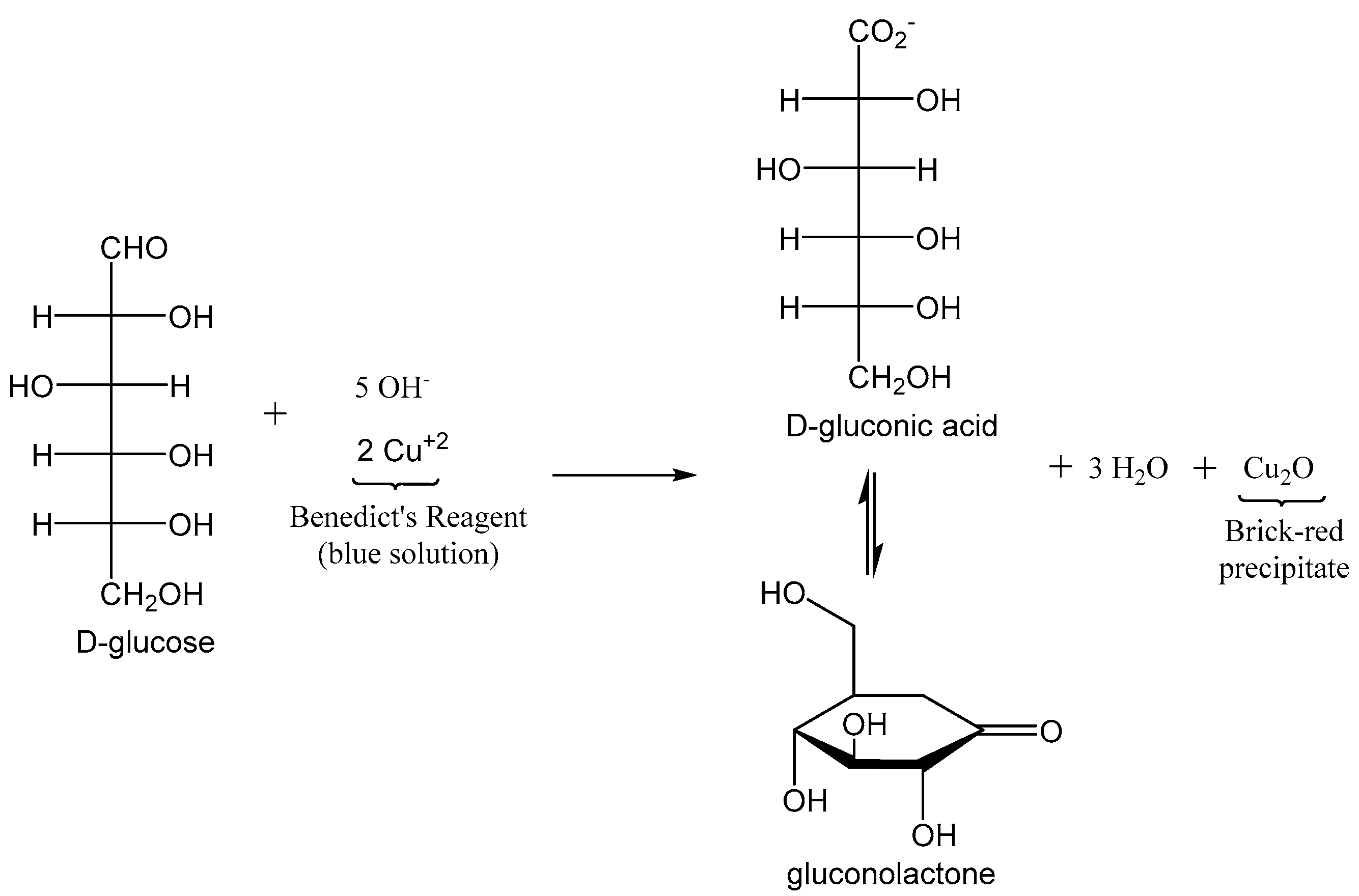 Biomolecules 12 01198 g001 550