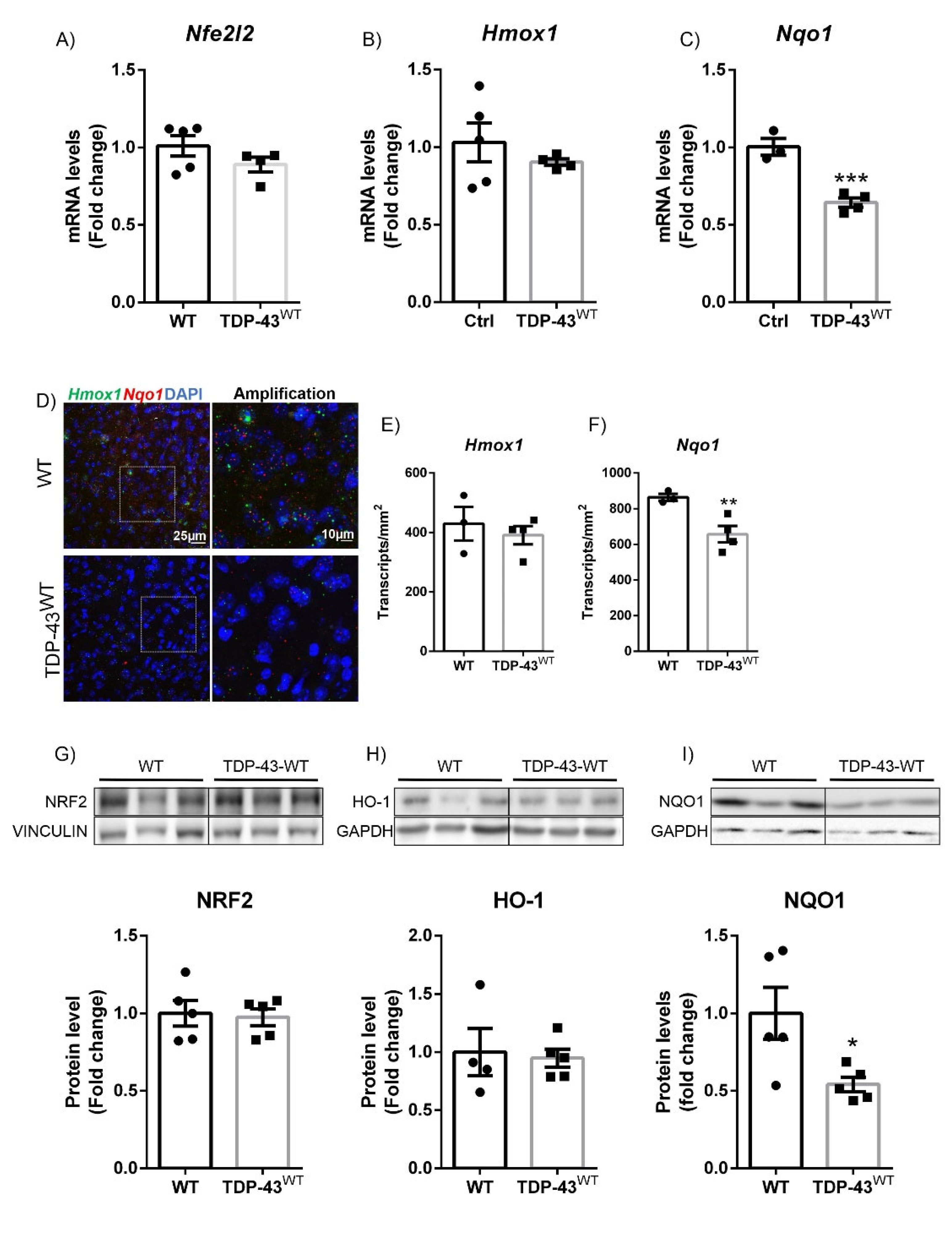 Biomolecules 12 01200 g001 550