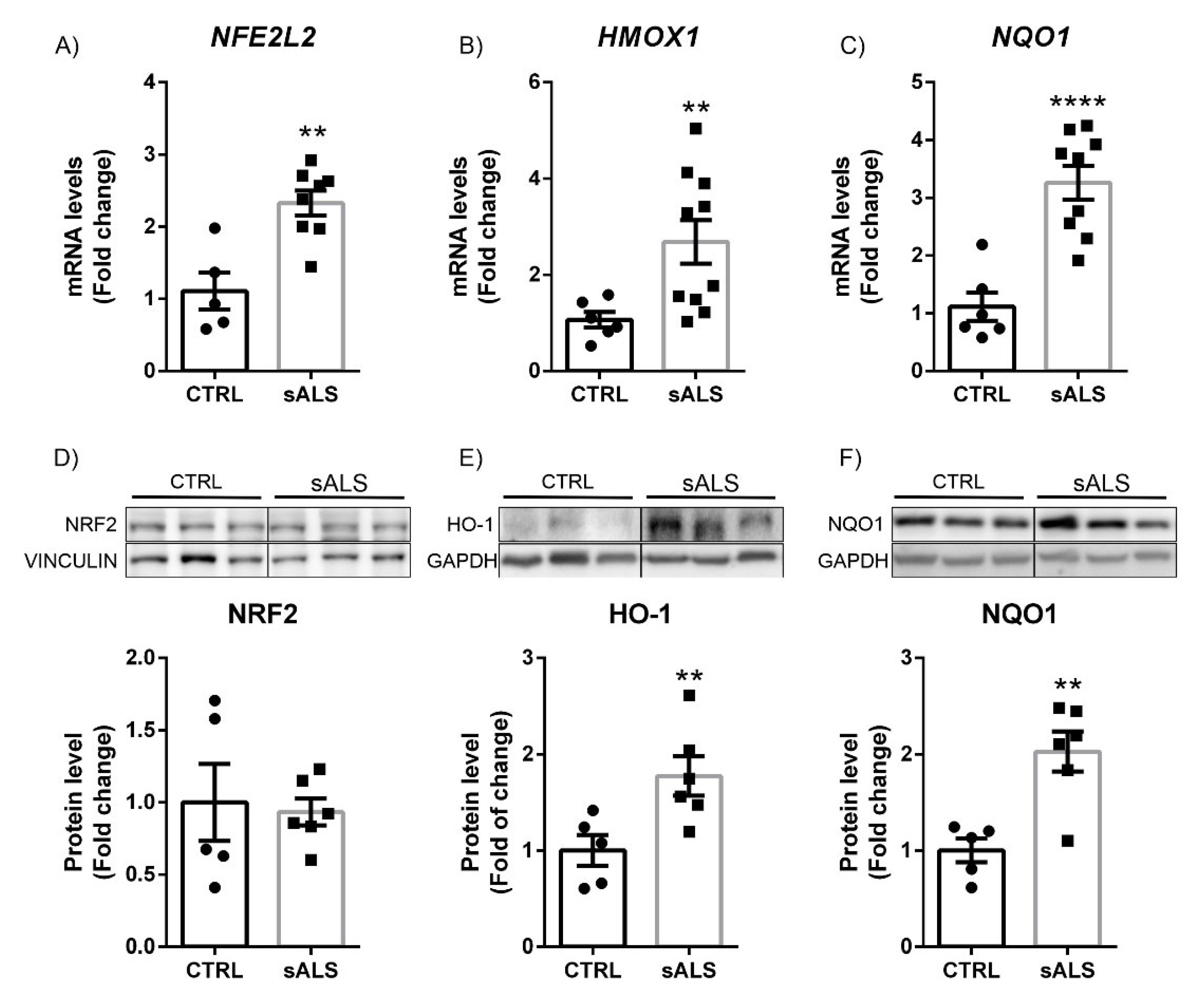 Biomolecules 12 01200 g005 550