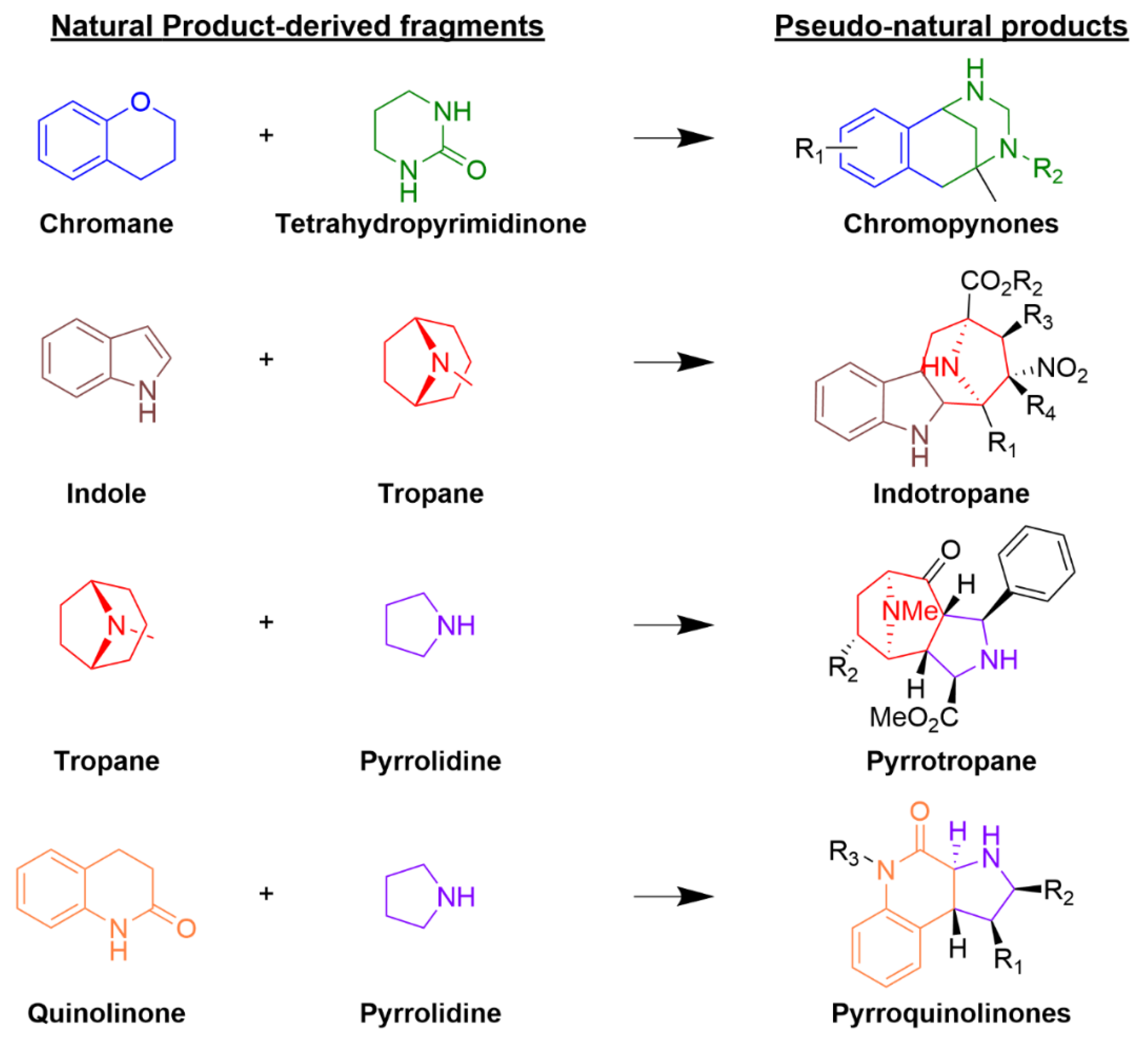 Biomolecules 12 01202 g003