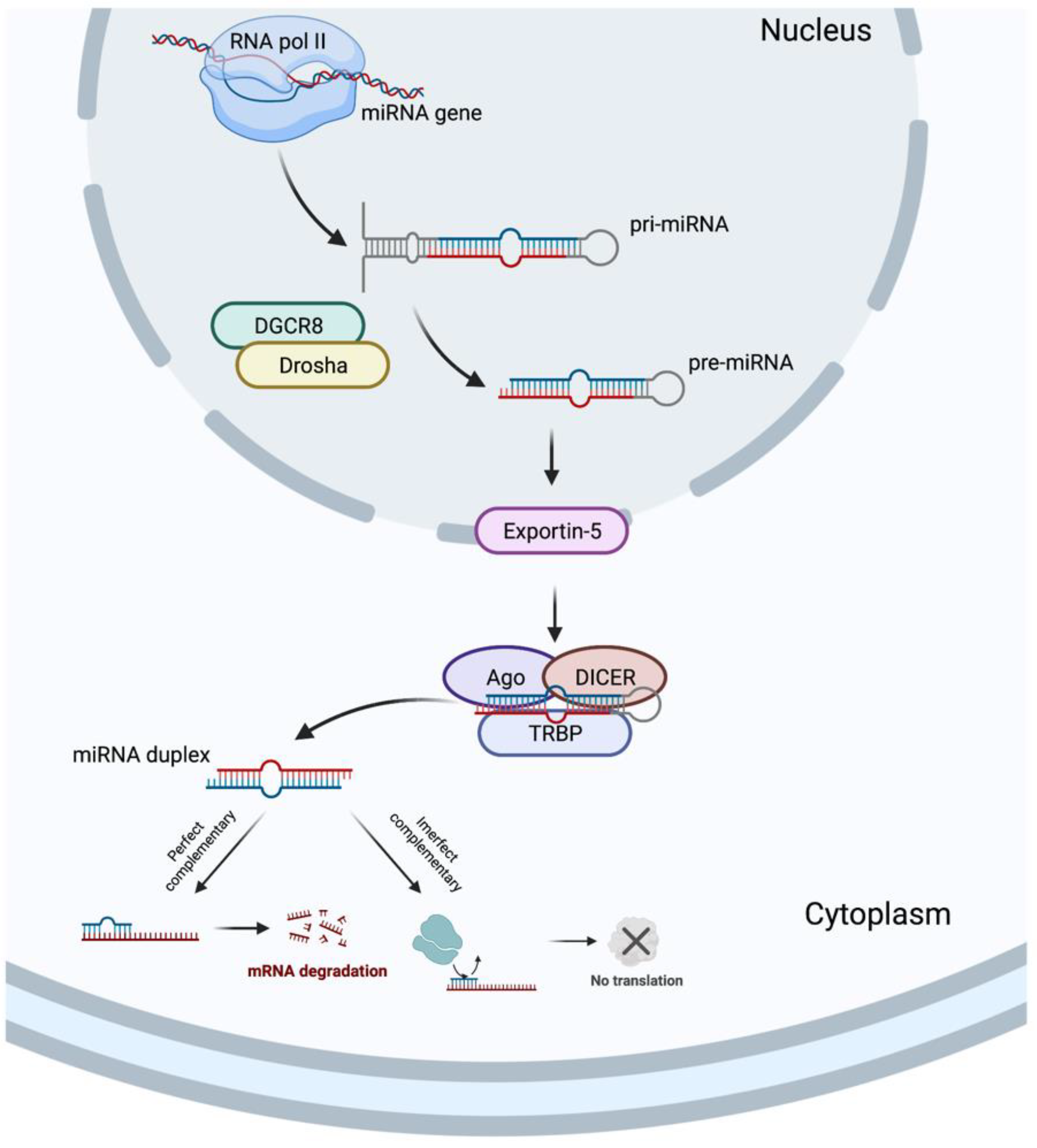 Biomolecules 12 01206 g003 550
