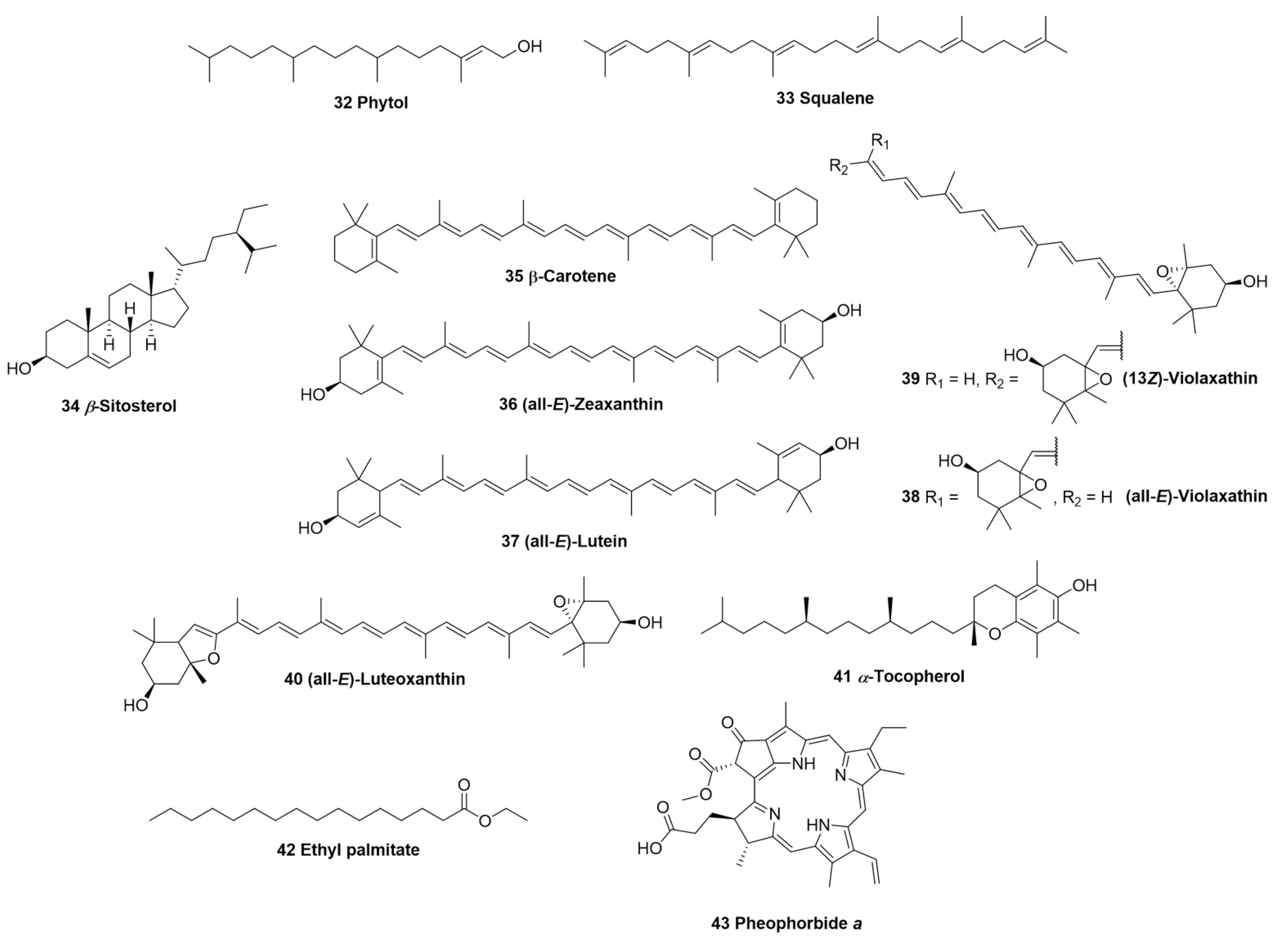 Biomolecules 12 01208 g003