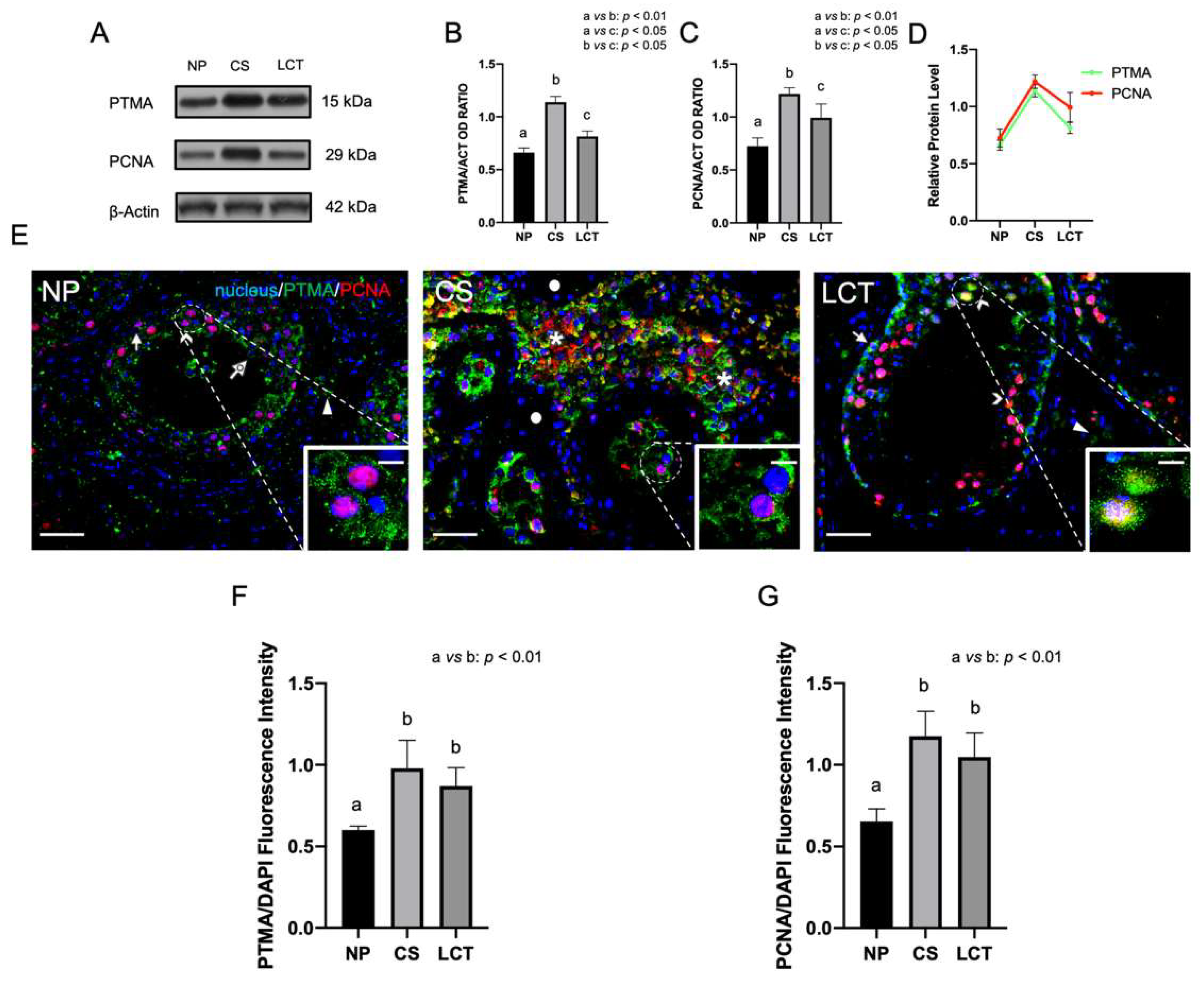 Biomolecules 12 01210 g001
