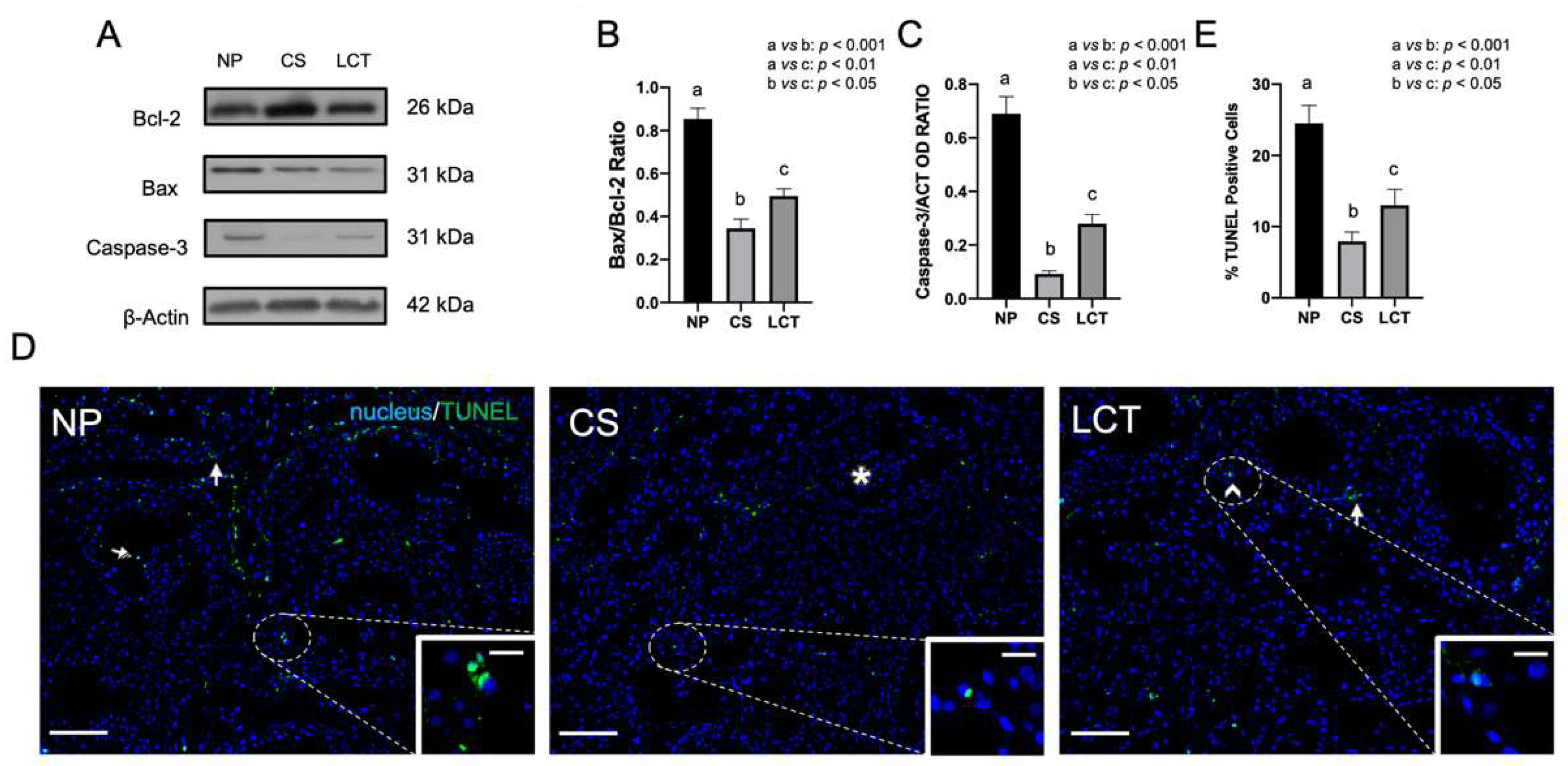 Biomolecules 12 01210 g002