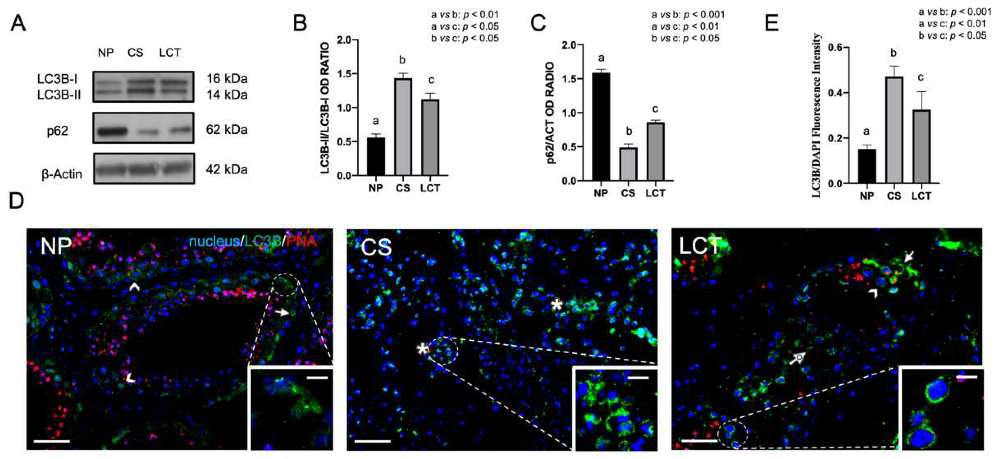 Biomolecules 12 01210 g003
