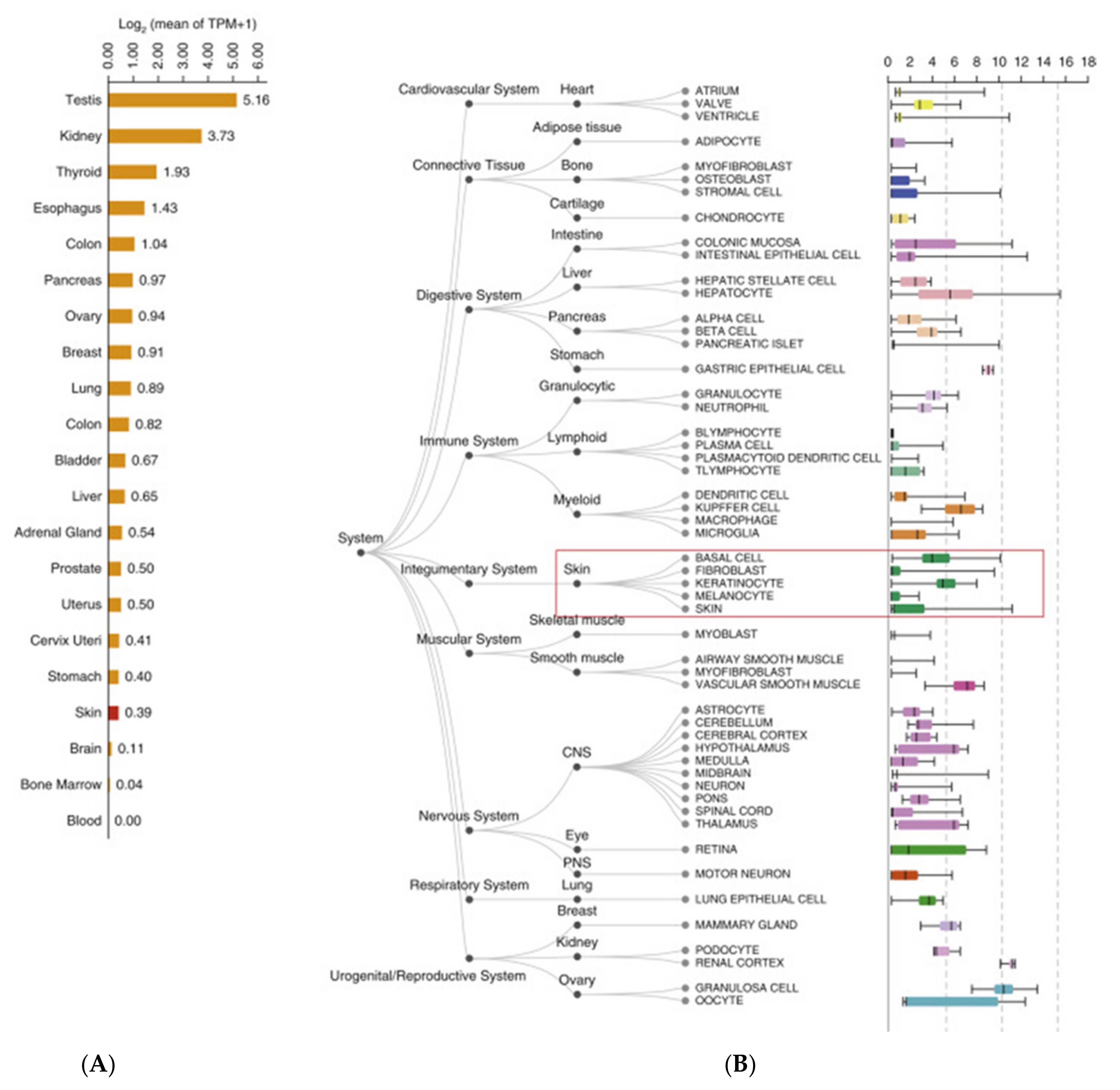 Biomolecules 12 01212 g005