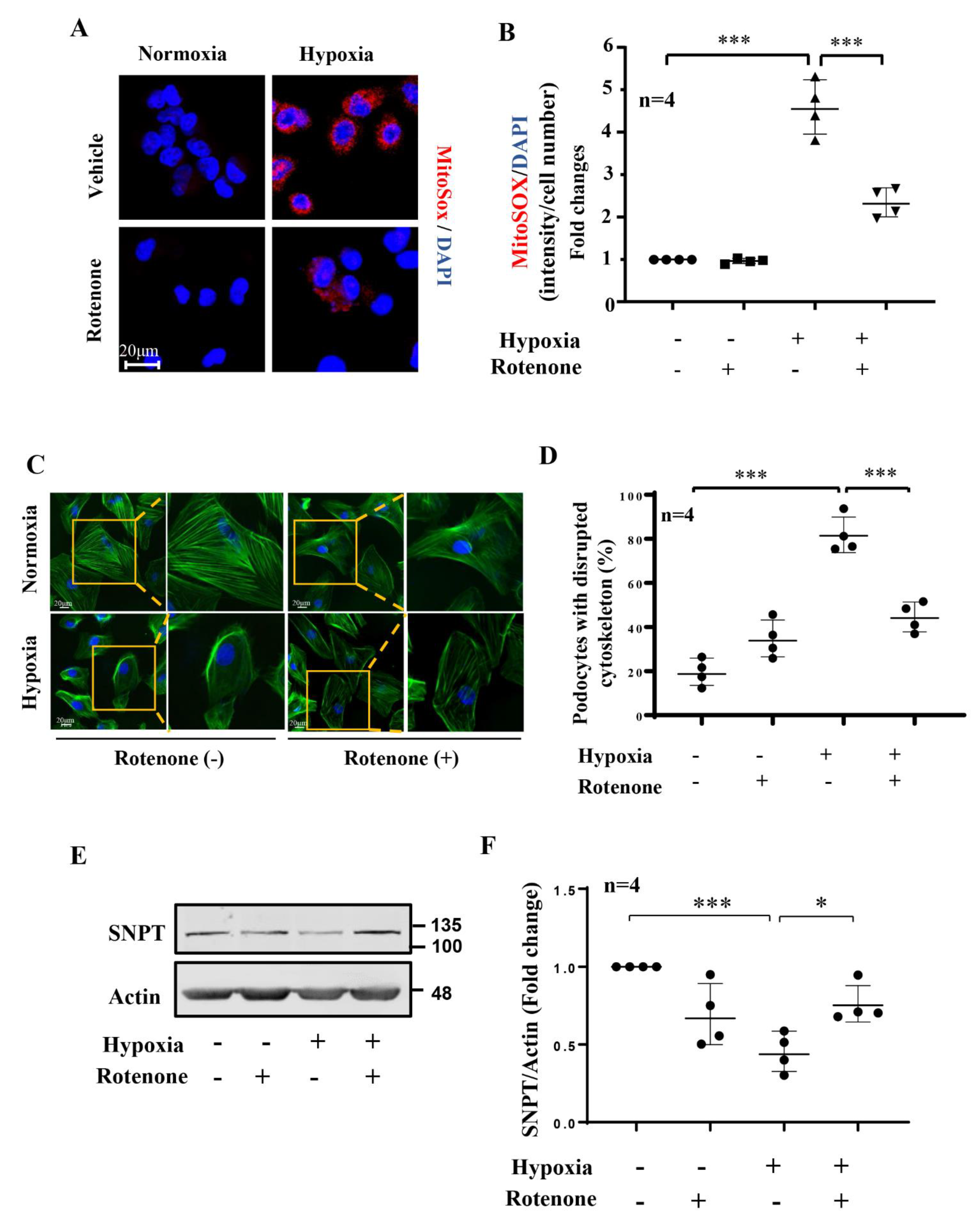 Biomolecules 12 01213 g005