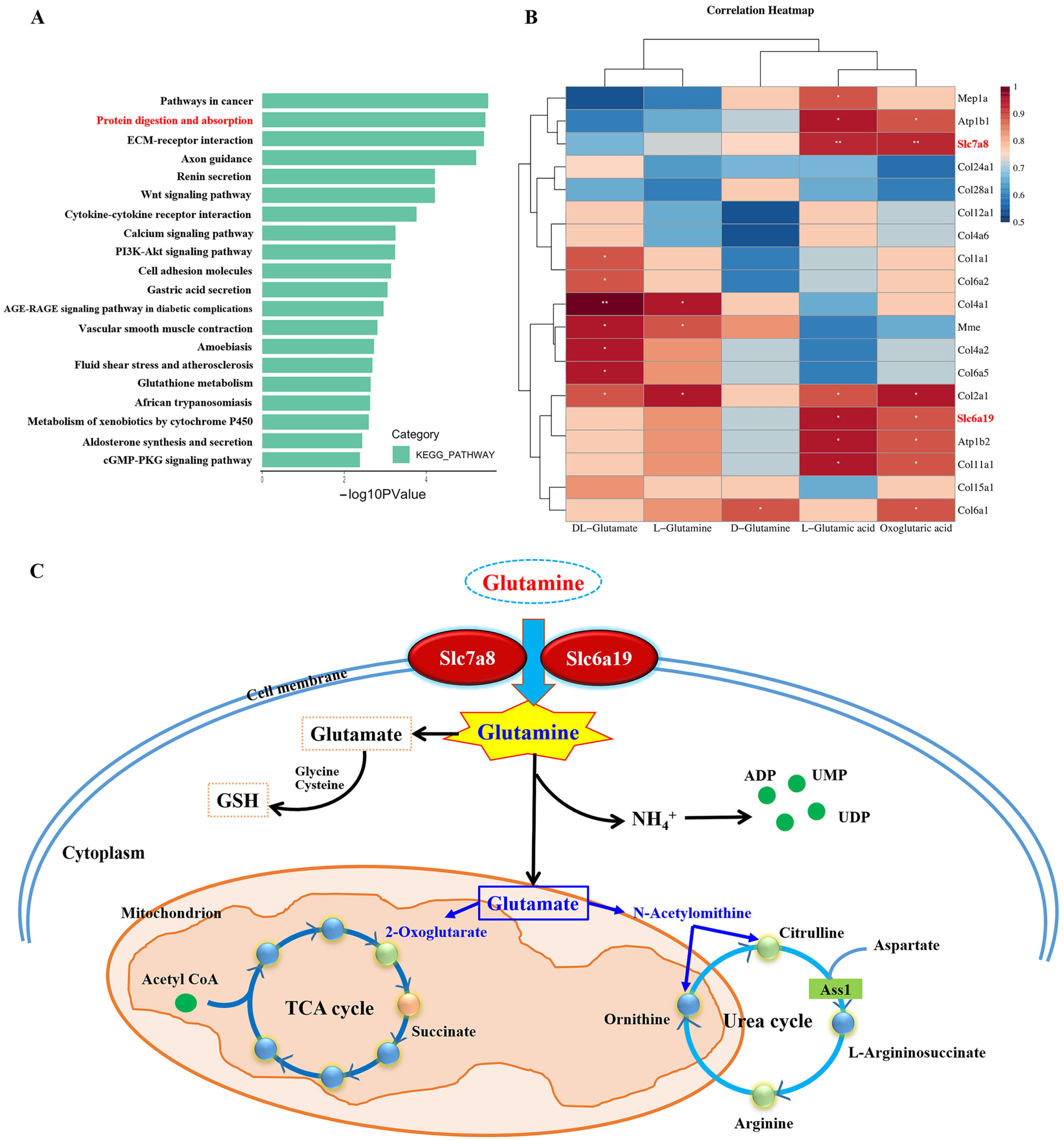 Biomolecules 12 01217 g004 550