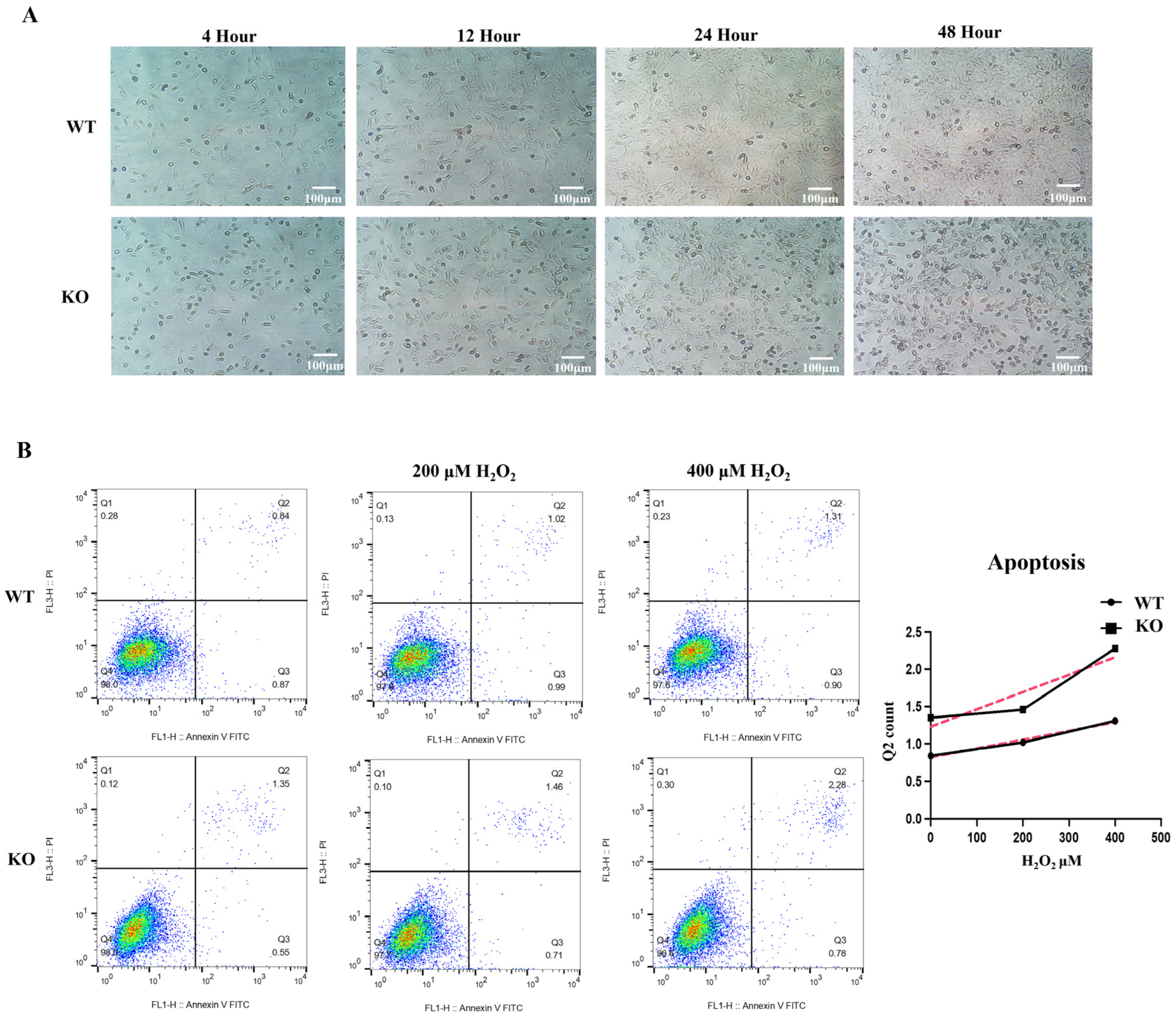 Biomolecules 12 01217 g006 550