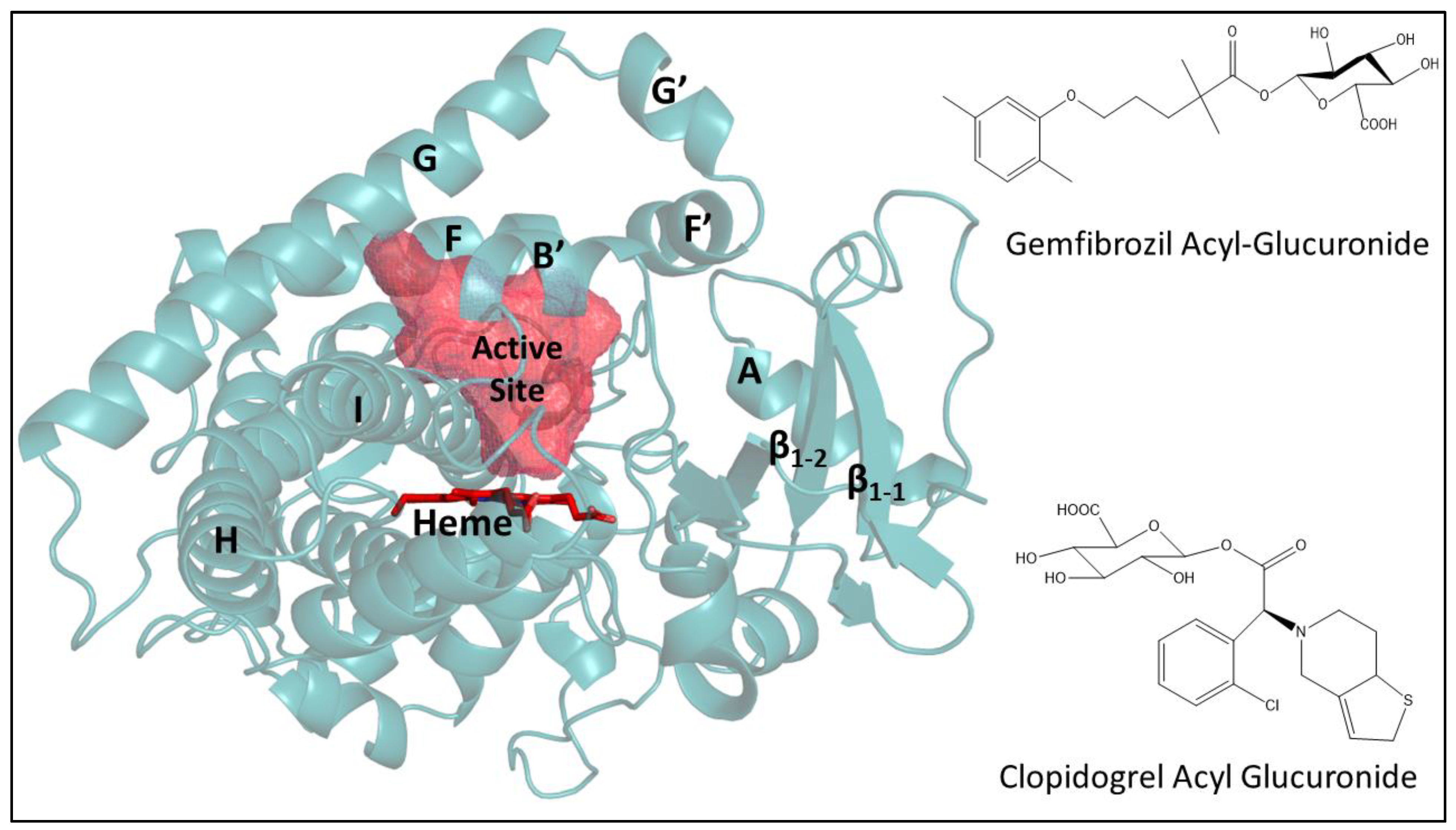 Biomolecules 12 01218 g001