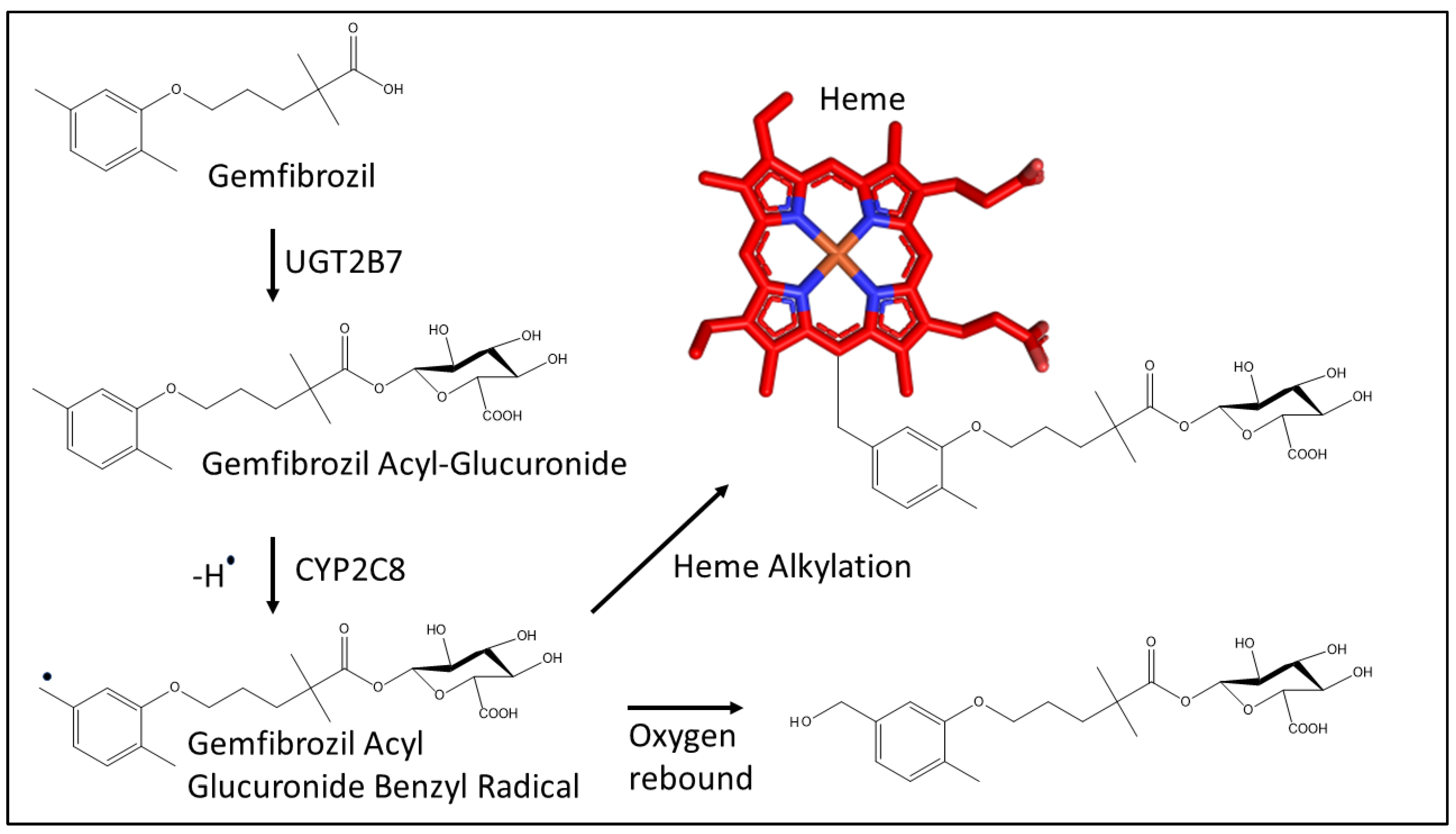 Biomolecules 12 01218 g002