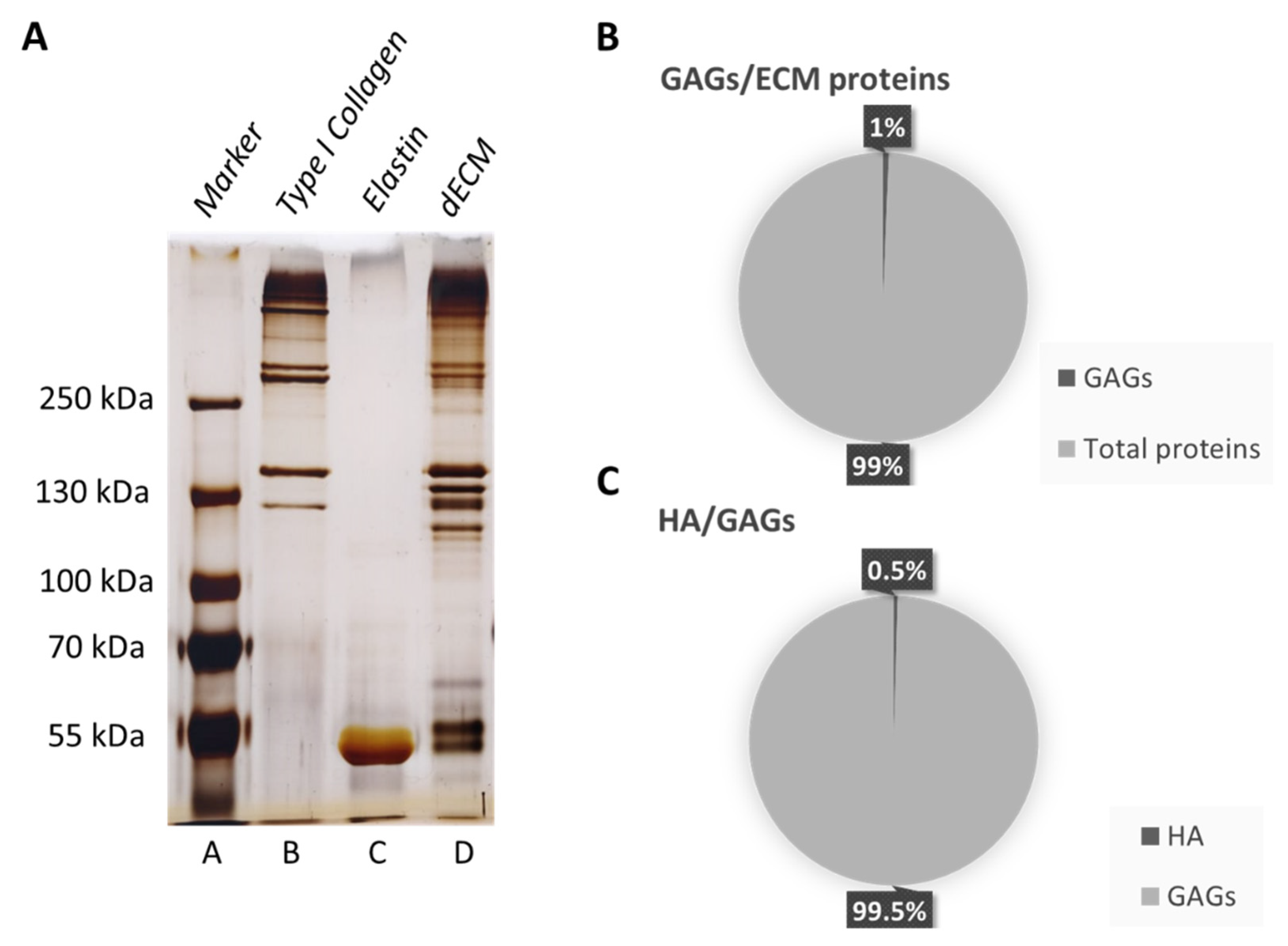 Biomolecules 12 01222 g001