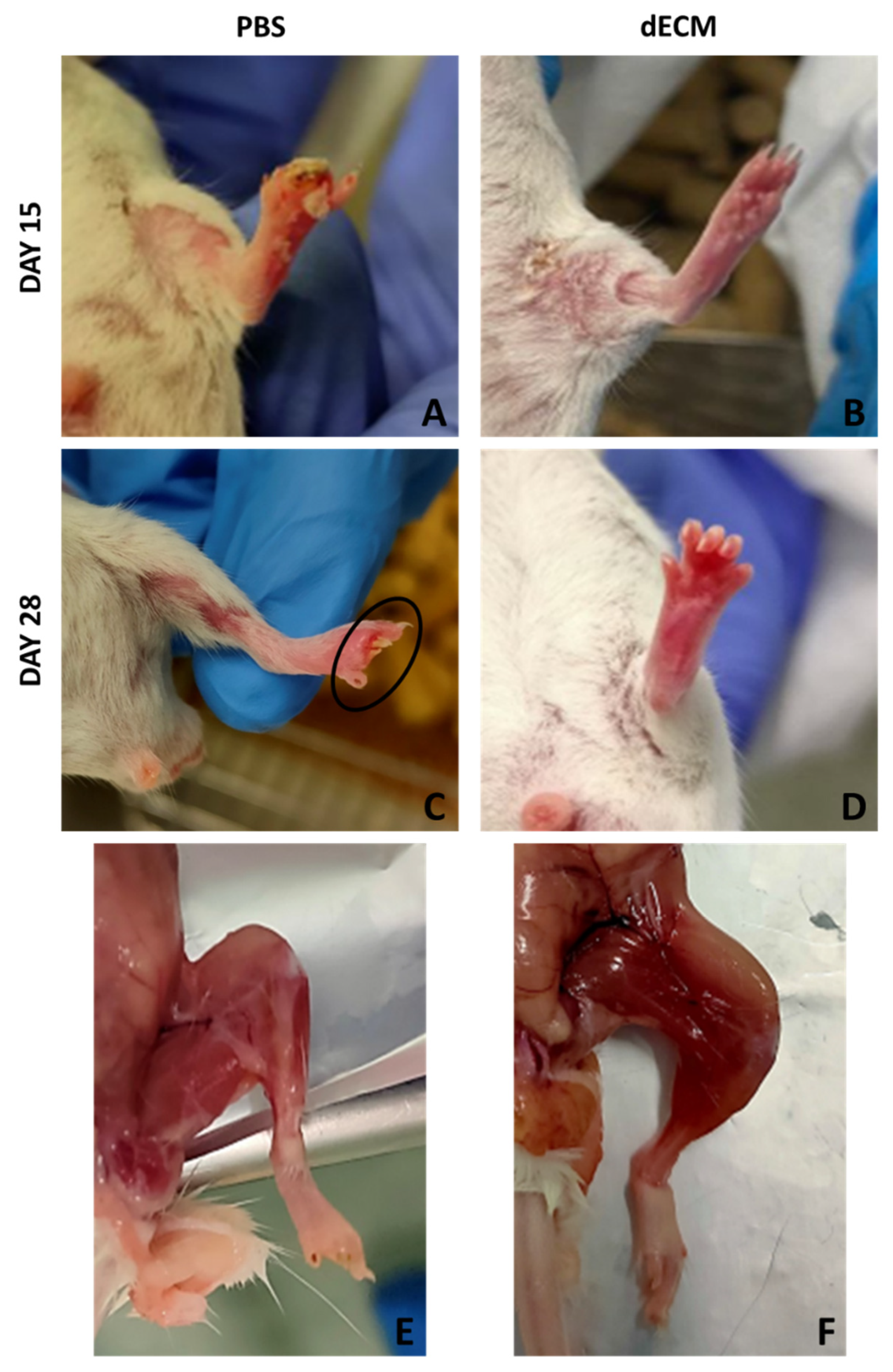 Biomolecules 12 01222 g005