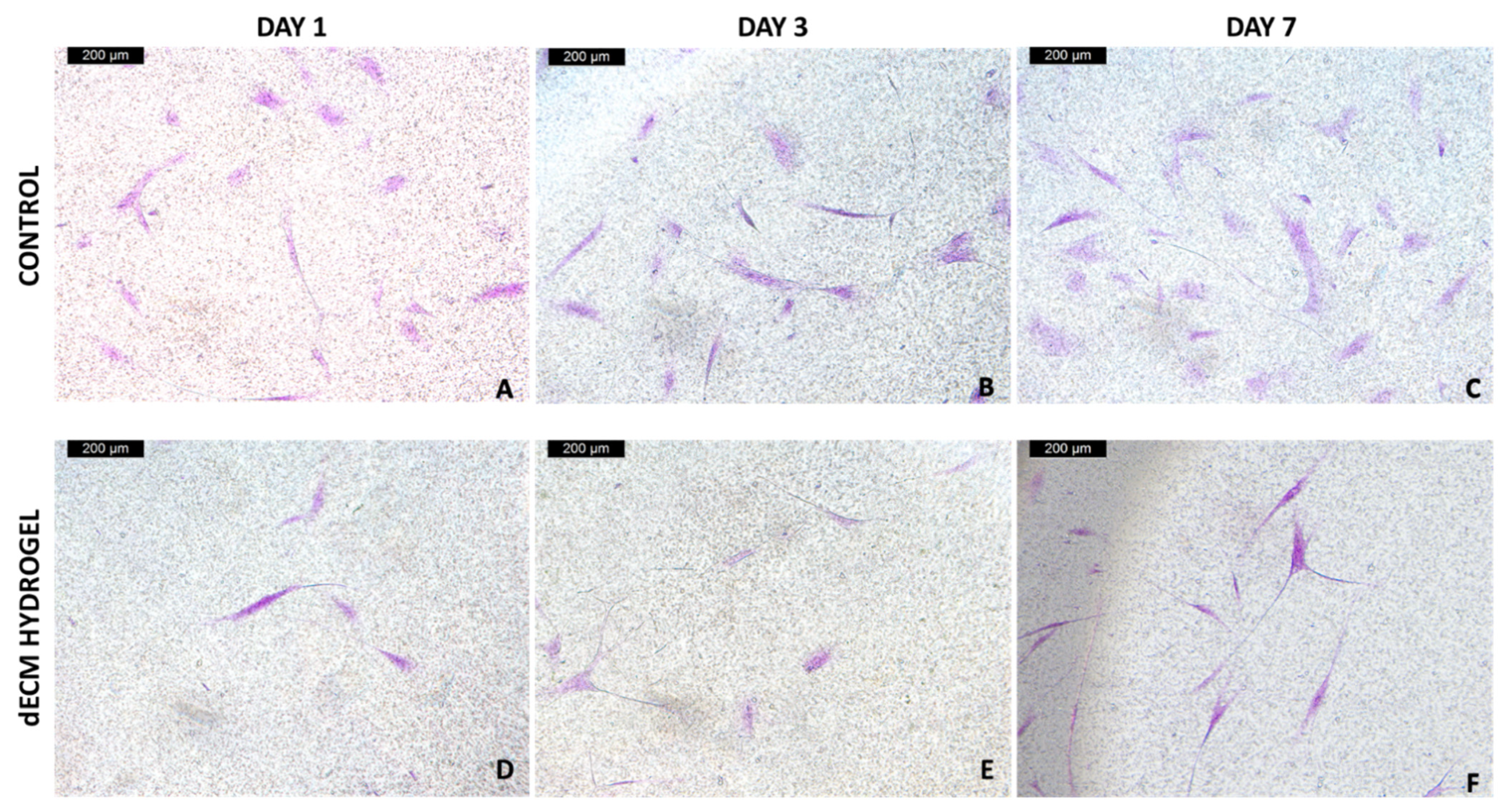Biomolecules 12 01222 g007