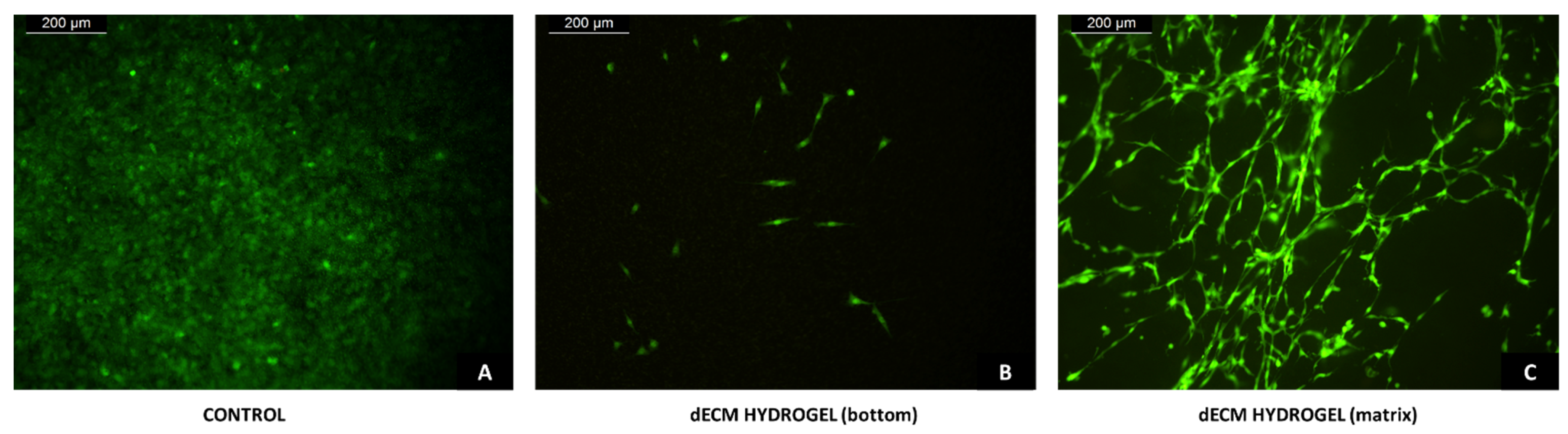 Biomolecules 12 01222 g008