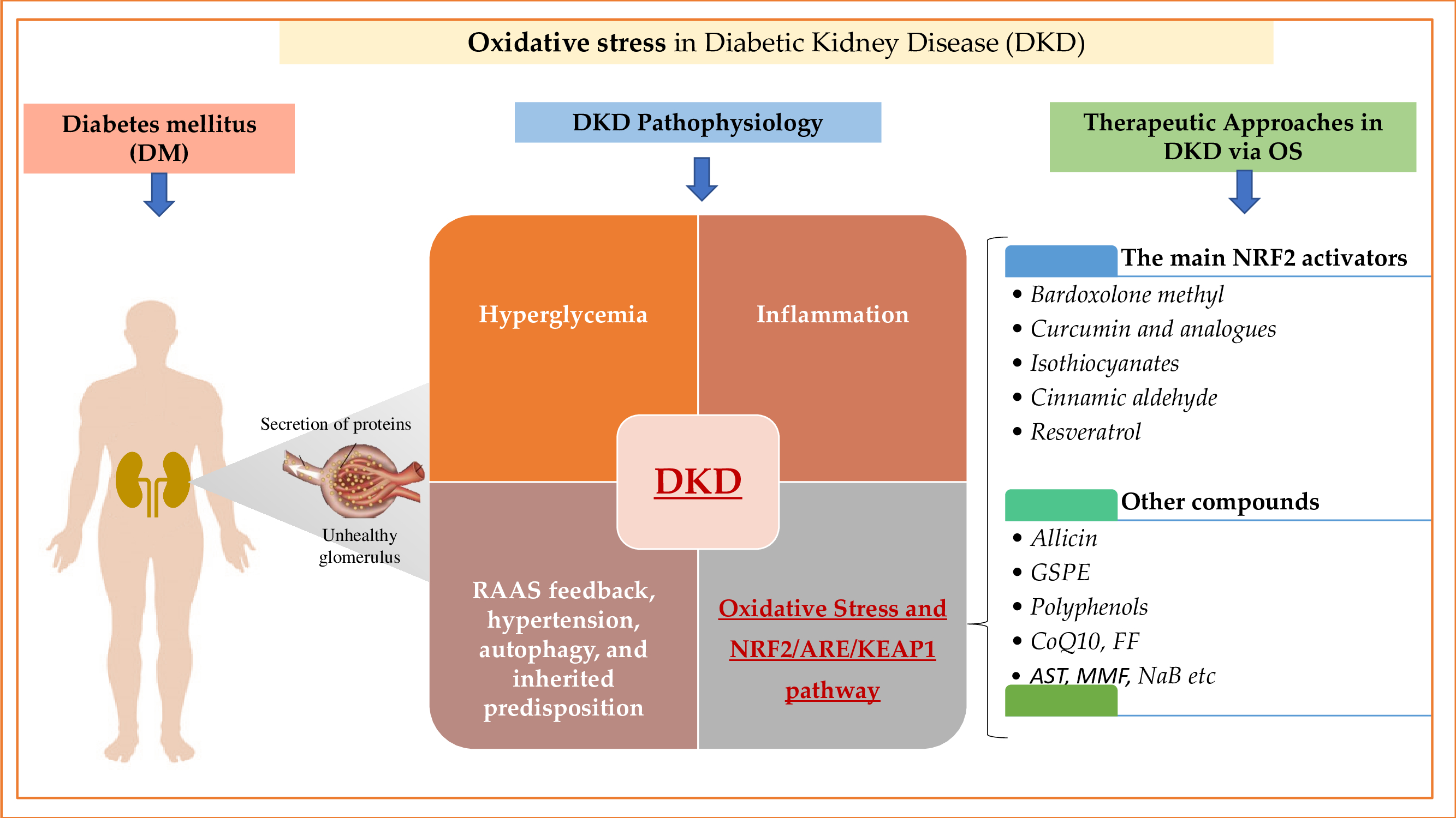 Biomolecules Free FullText Oxidative Stress and NRF2/KEAP1/ARE