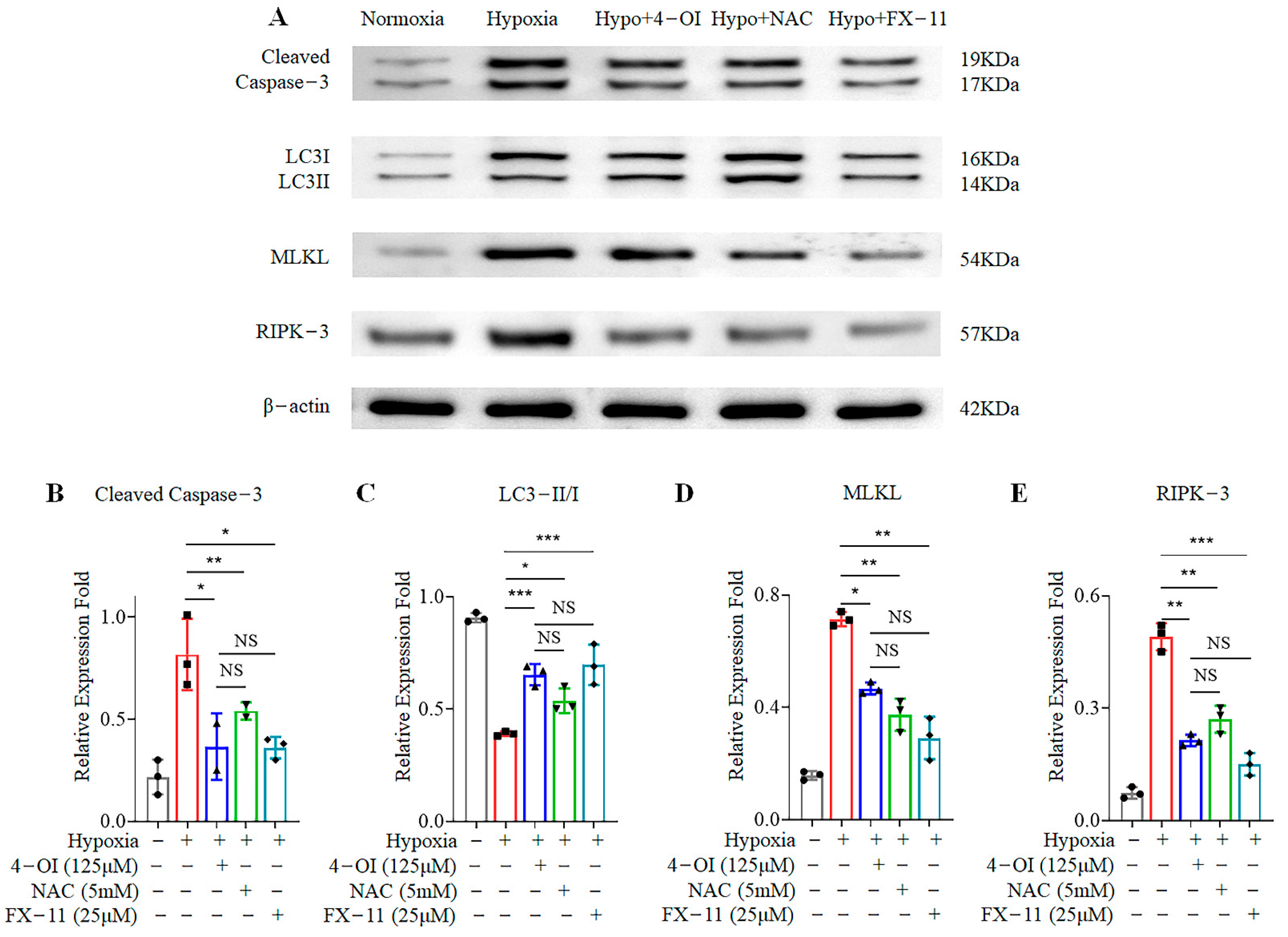 Biomolecules 12 01236 g004 550