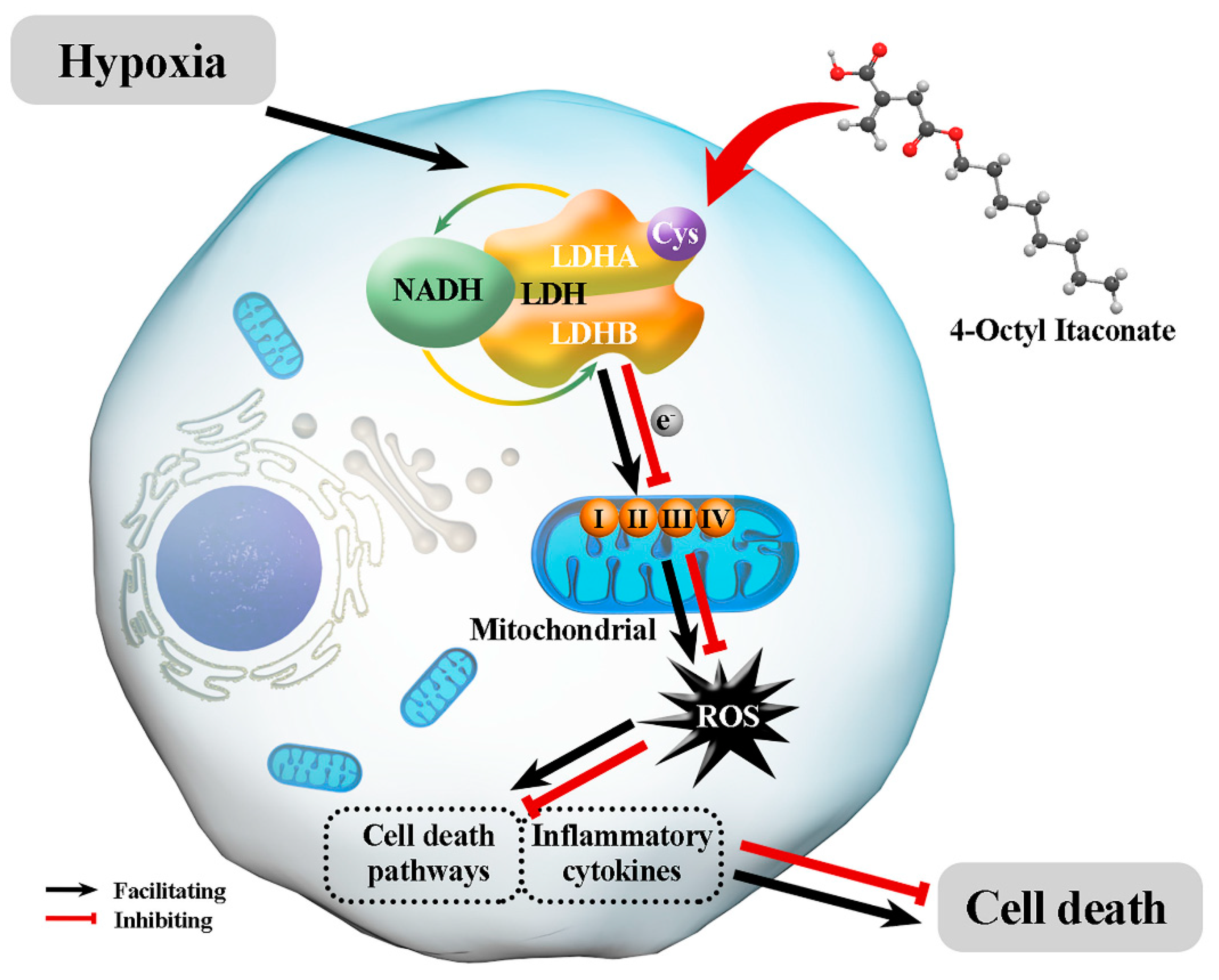 Biomolecules 12 01236 g006 550