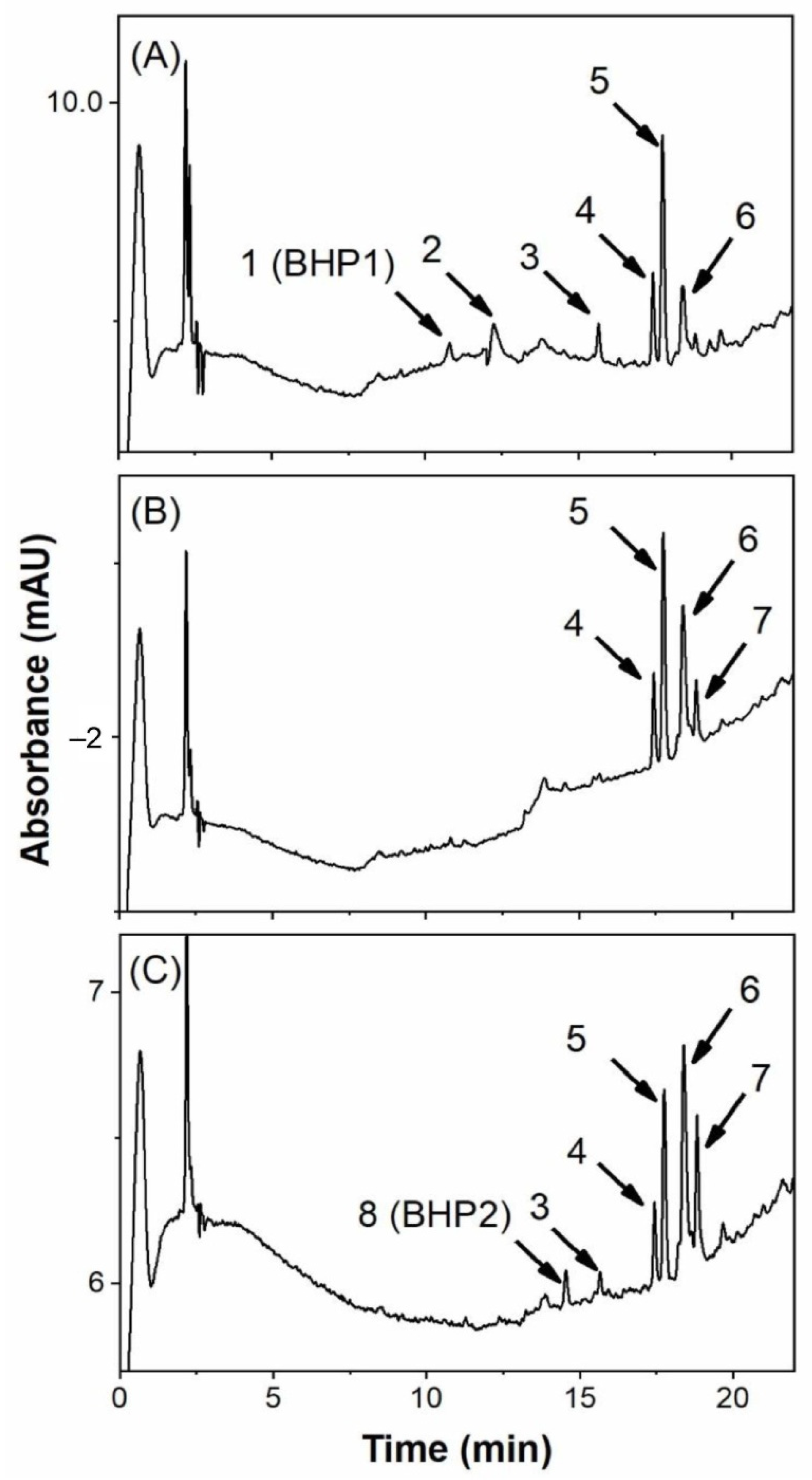 Biomolecules 12 01237 g001