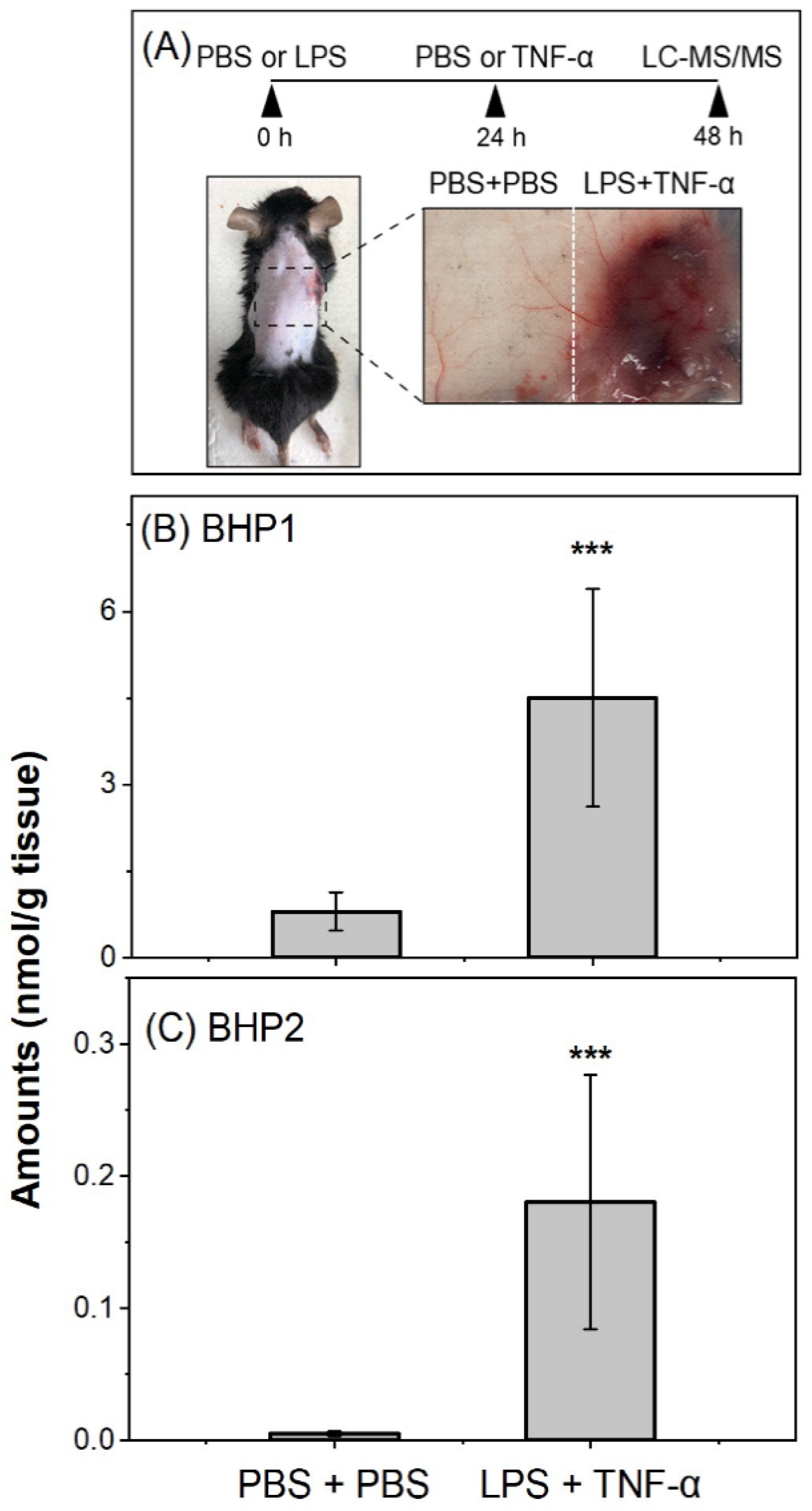 Biomolecules 12 01237 g005