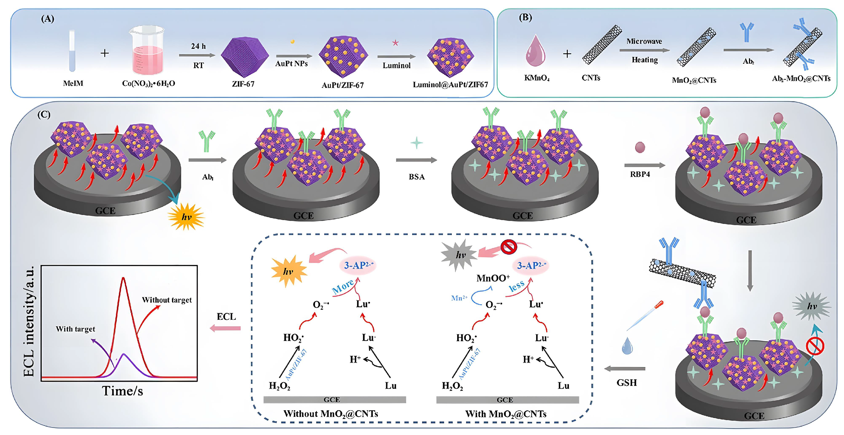 Biomolecules 12 01240 g004 550