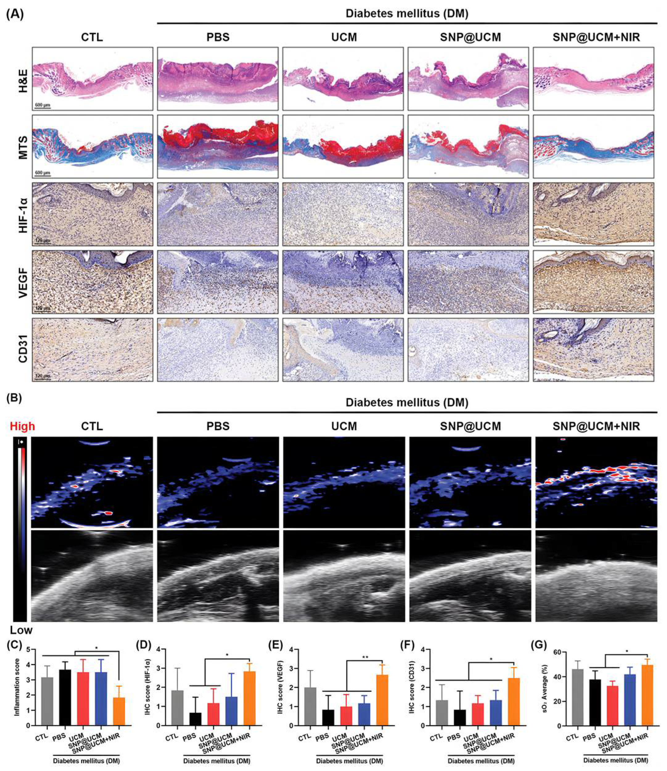 Biomolecules 12 01240 g009 550