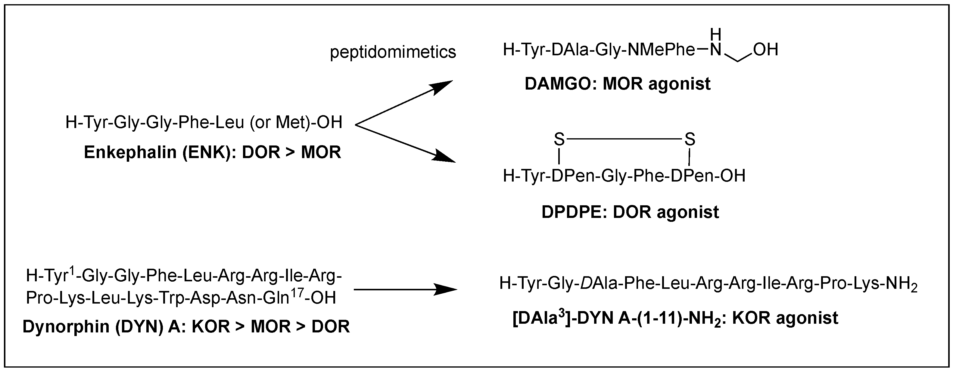 Biomolecules 12 01241 g001 Biomolecules 12 01241 g001
