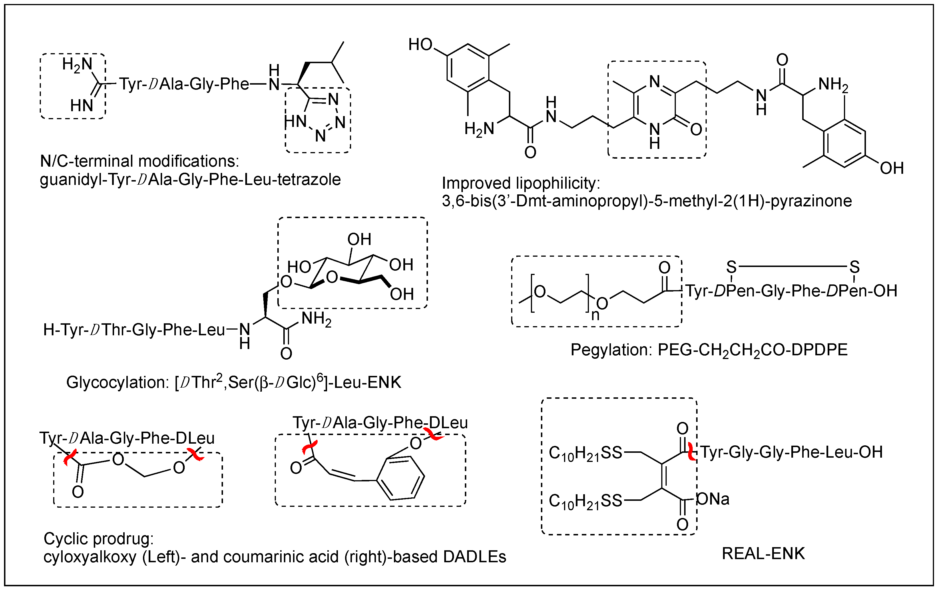 Biomolecules 12 01241 g002 Biomolecules 12 01241 g002