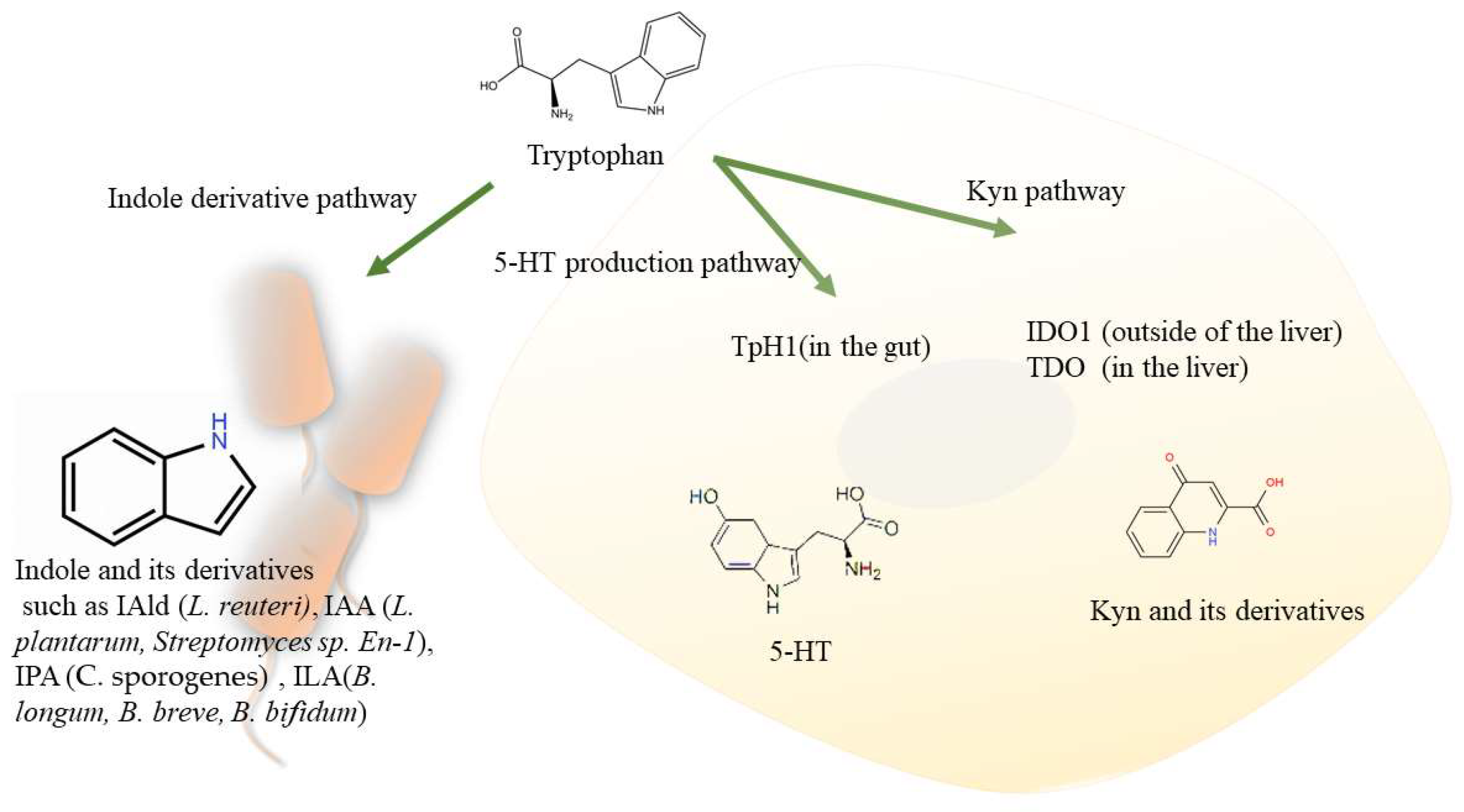 Biomolecules 12 01244 g002 Biomolecules 12 01244 g002