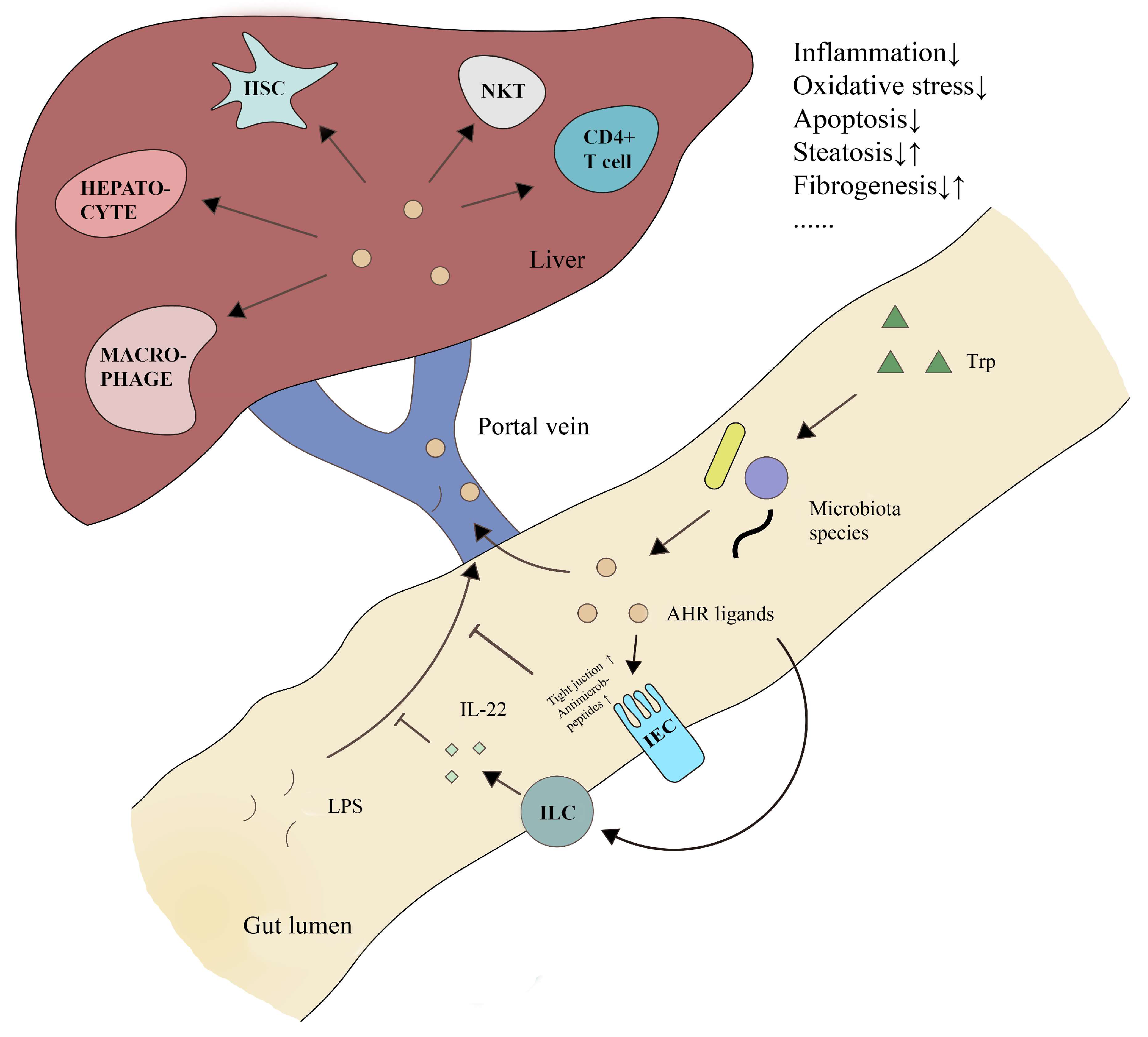 Biomolecules 12 01244 g003 Biomolecules 12 01244 g003