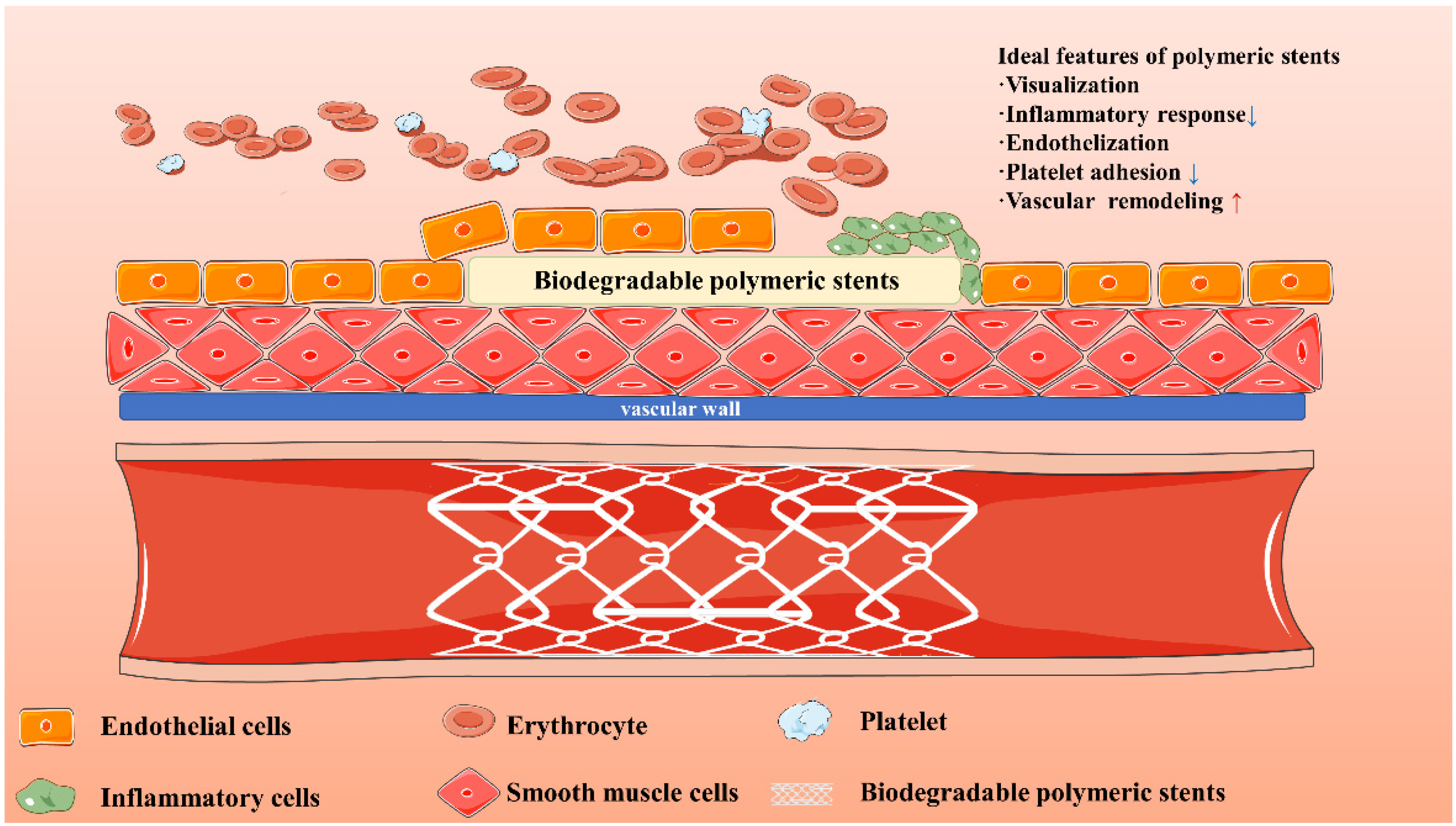Biomolecules 12 01245 g006 550
