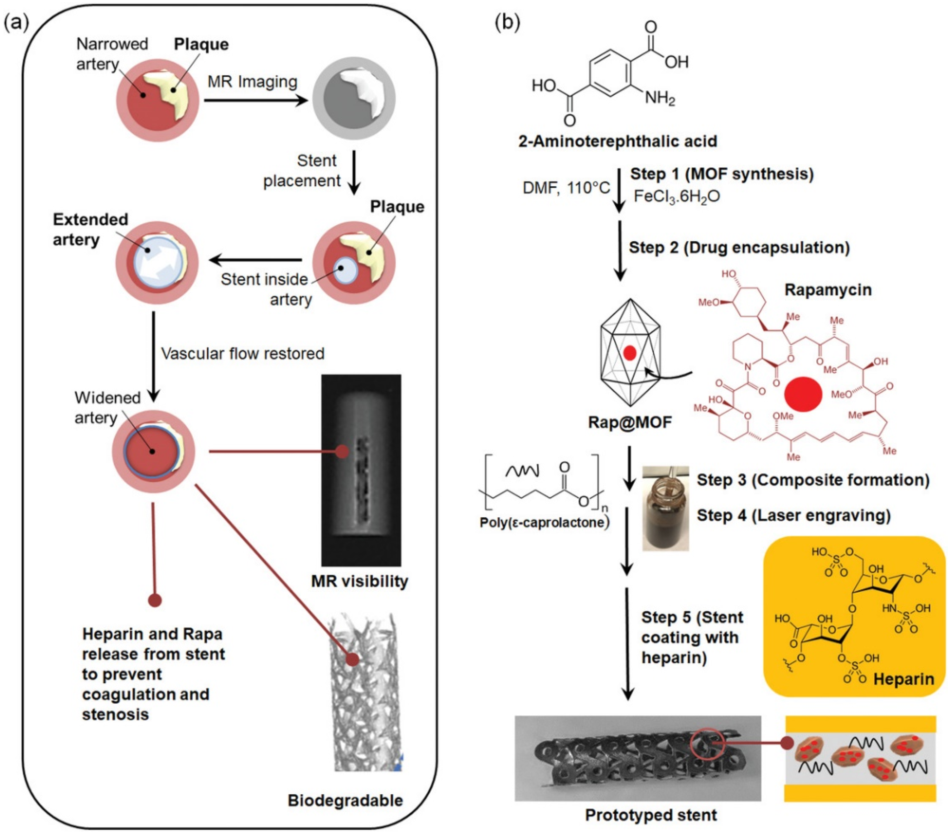 Biomolecules 12 01245 g007 550